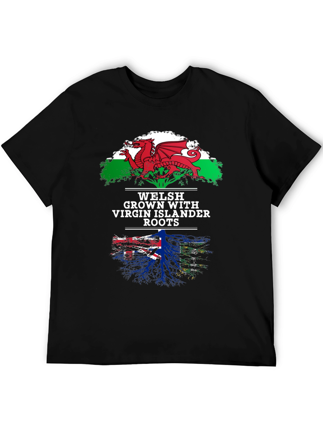 Welsh & Virgin Islander Roots T-Shirt