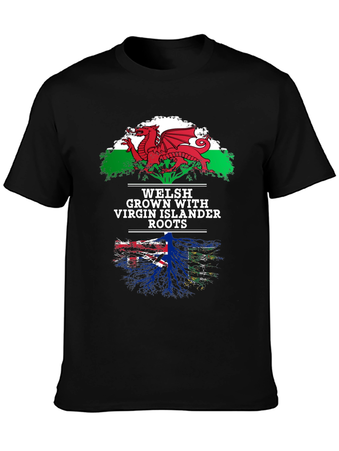 Welsh & Virgin Islander Roots T-Shirt