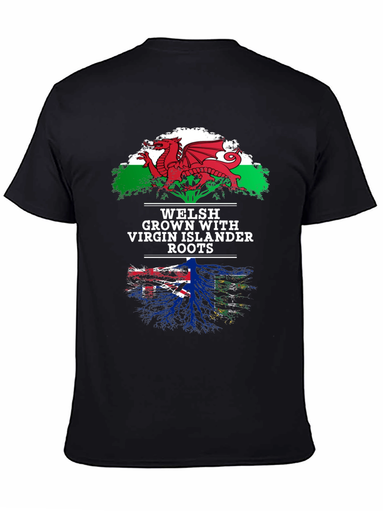 Welsh & Virgin Islander Roots T-Shirt