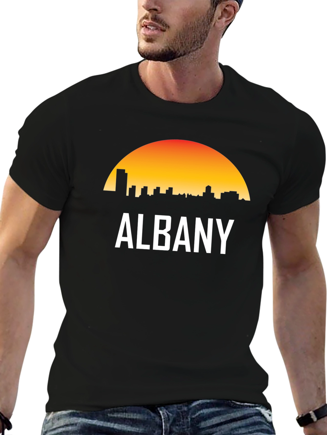 Albany Skyline Sunset T-Shirt