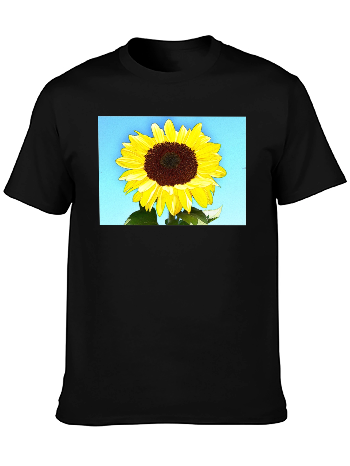 Sunflower Graphic Tee - Black Cotton Casual Wear