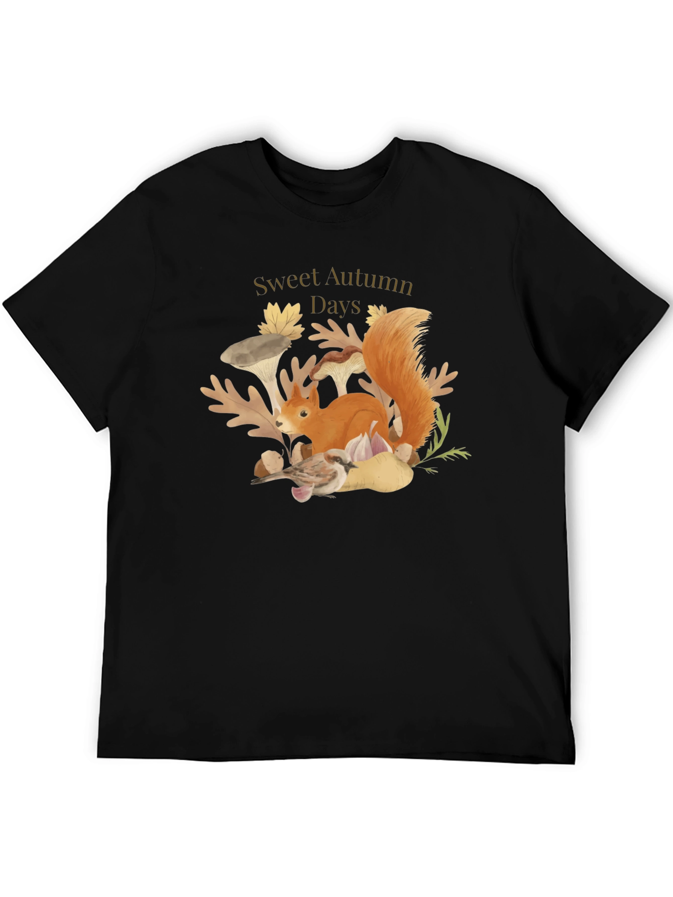 Sweet Autumn Days Black Graphic T-Shirt