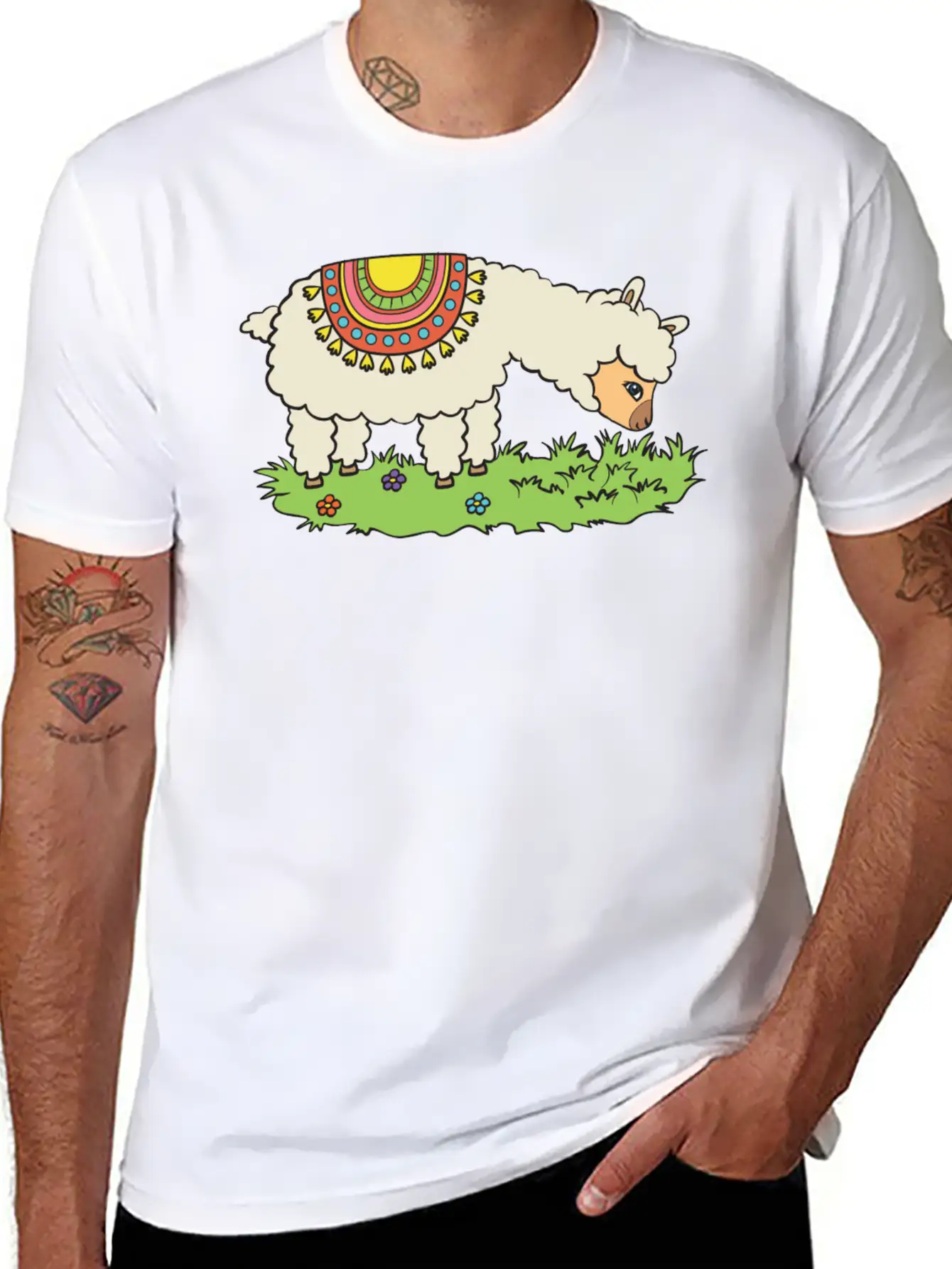 Alpaca Eats Grass On A Meadow Basic Graphic T-Shirt – Daily Comfort In Soft Cotton