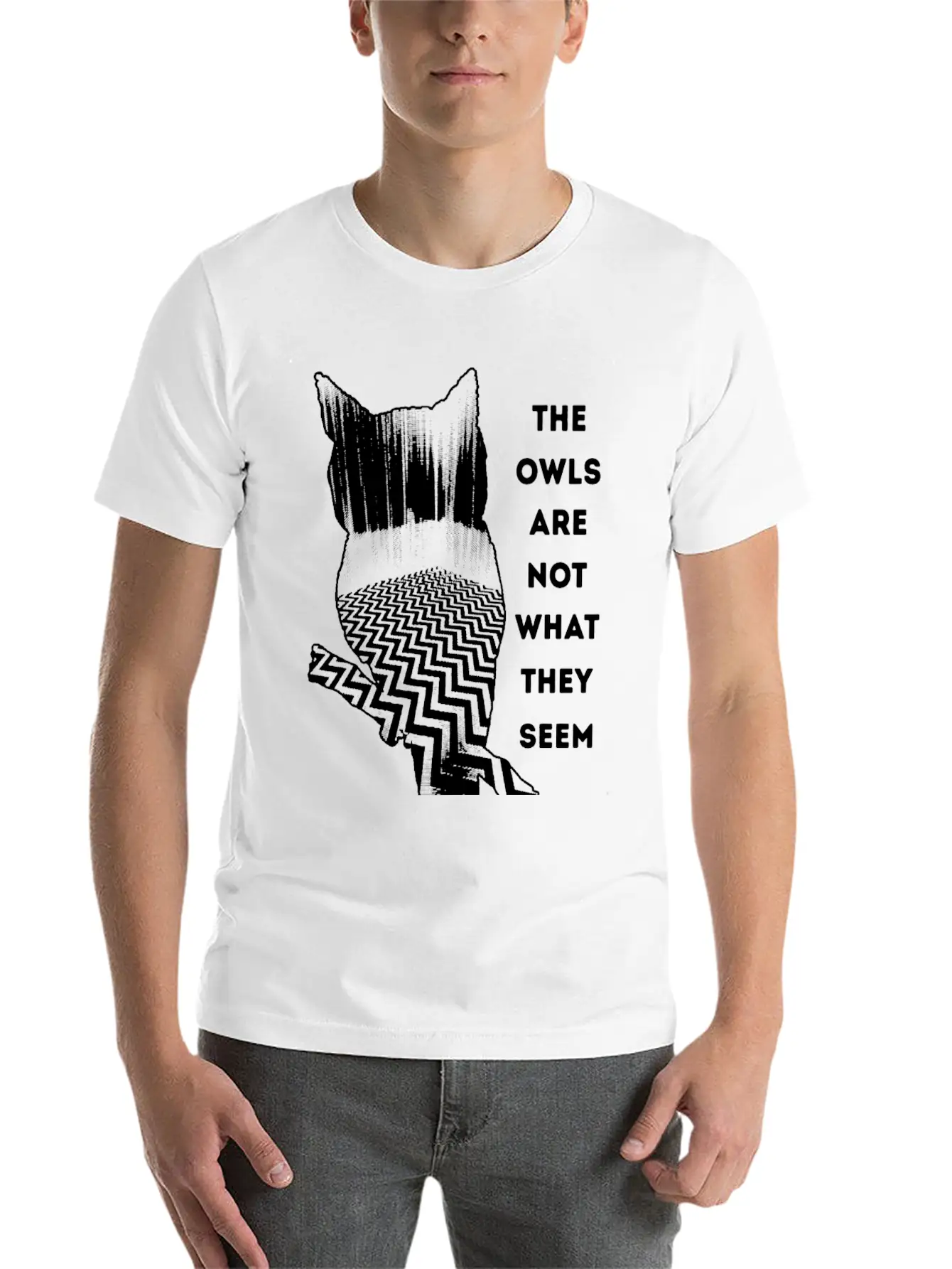 Owl - Owl - The Owls Are Not What They Seem Lightweight Cotton T-Shirt – Daily Comfort Graphic Shirt