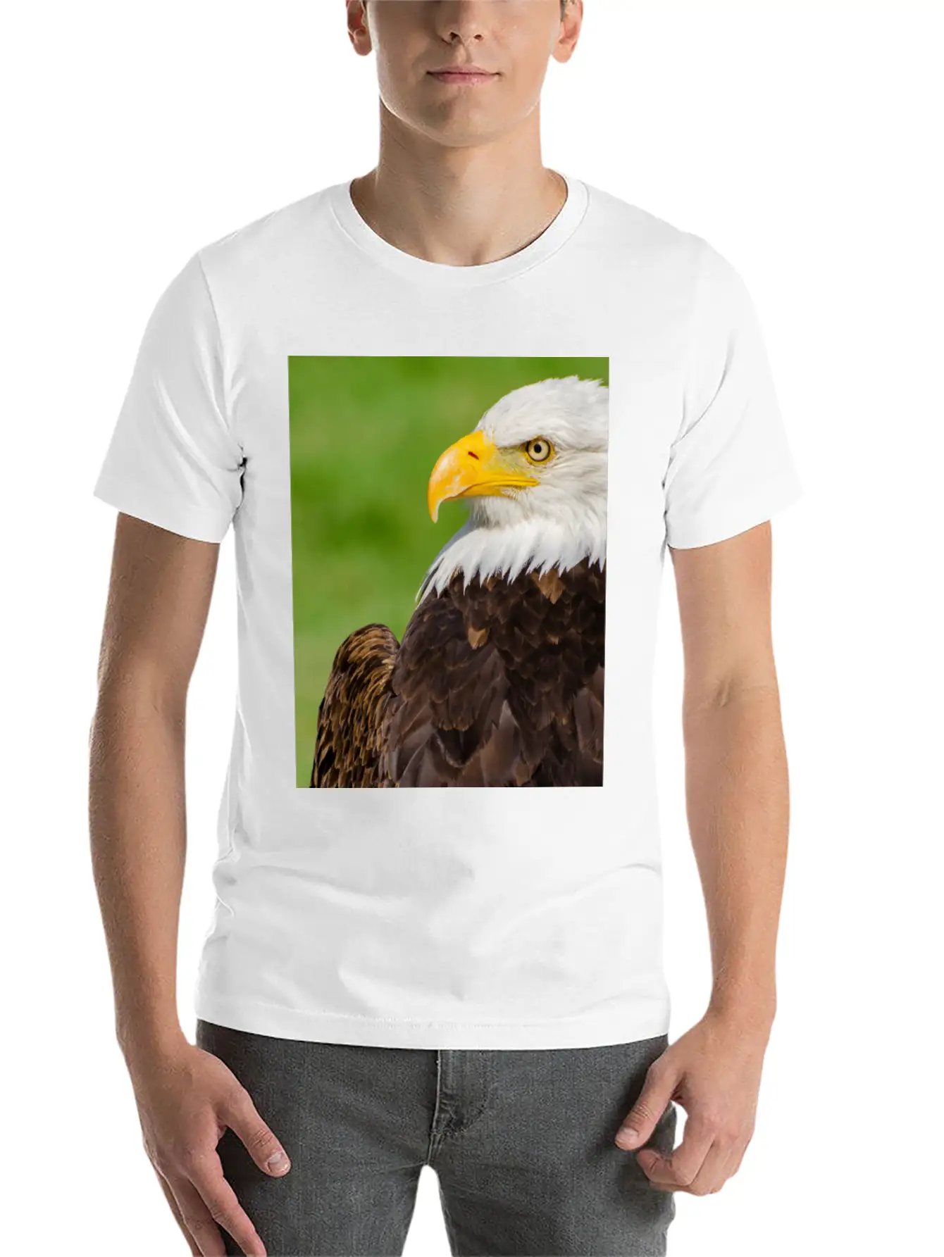 Profile Of A Bald Eagle Resting On A Sunny Day Lightweight Cotton T-Shirt – Daily Comfort Graphic Shirt