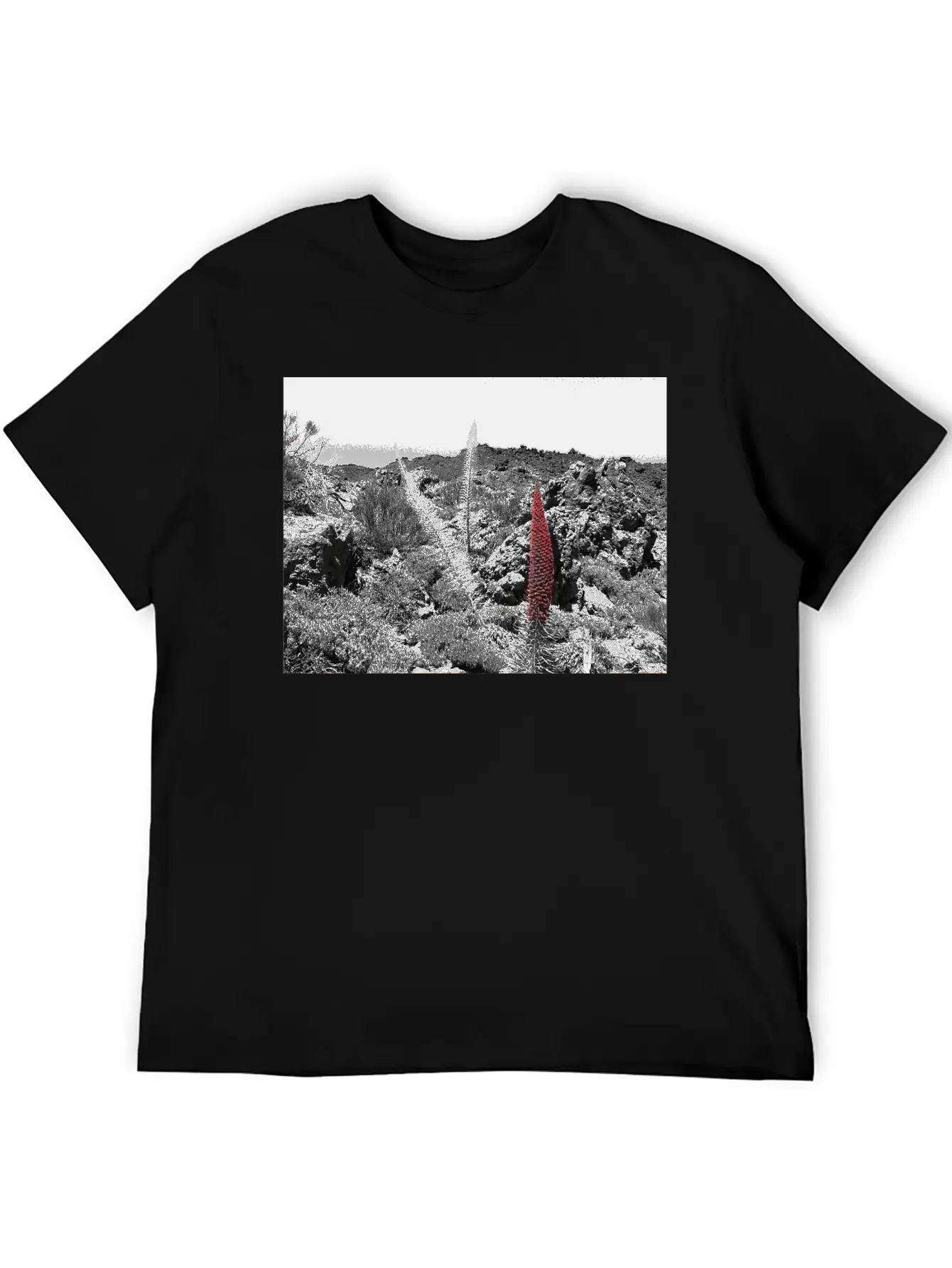 Tajinaste Unisex Casual T-Shirt – Clean Design For Daily Comfort