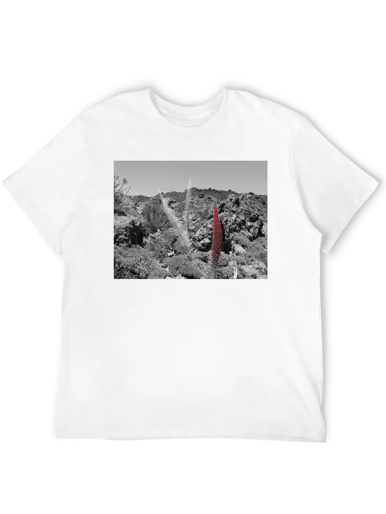 Tajinaste Unisex Casual T-Shirt – Clean Design For Daily Comfort