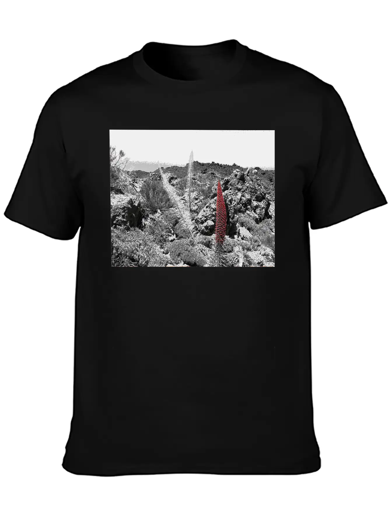 Tajinaste Unisex Casual T-Shirt – Clean Design For Daily Comfort