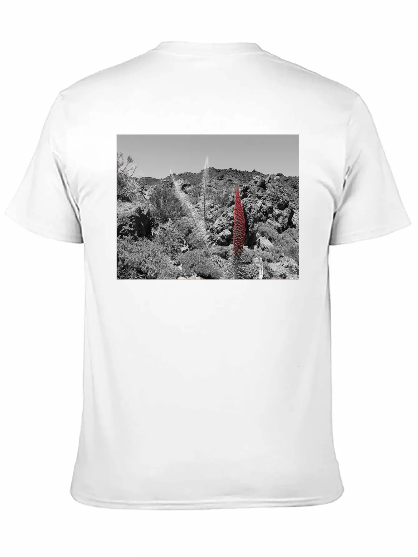 Tajinaste Unisex Casual T-Shirt – Clean Design For Daily Comfort