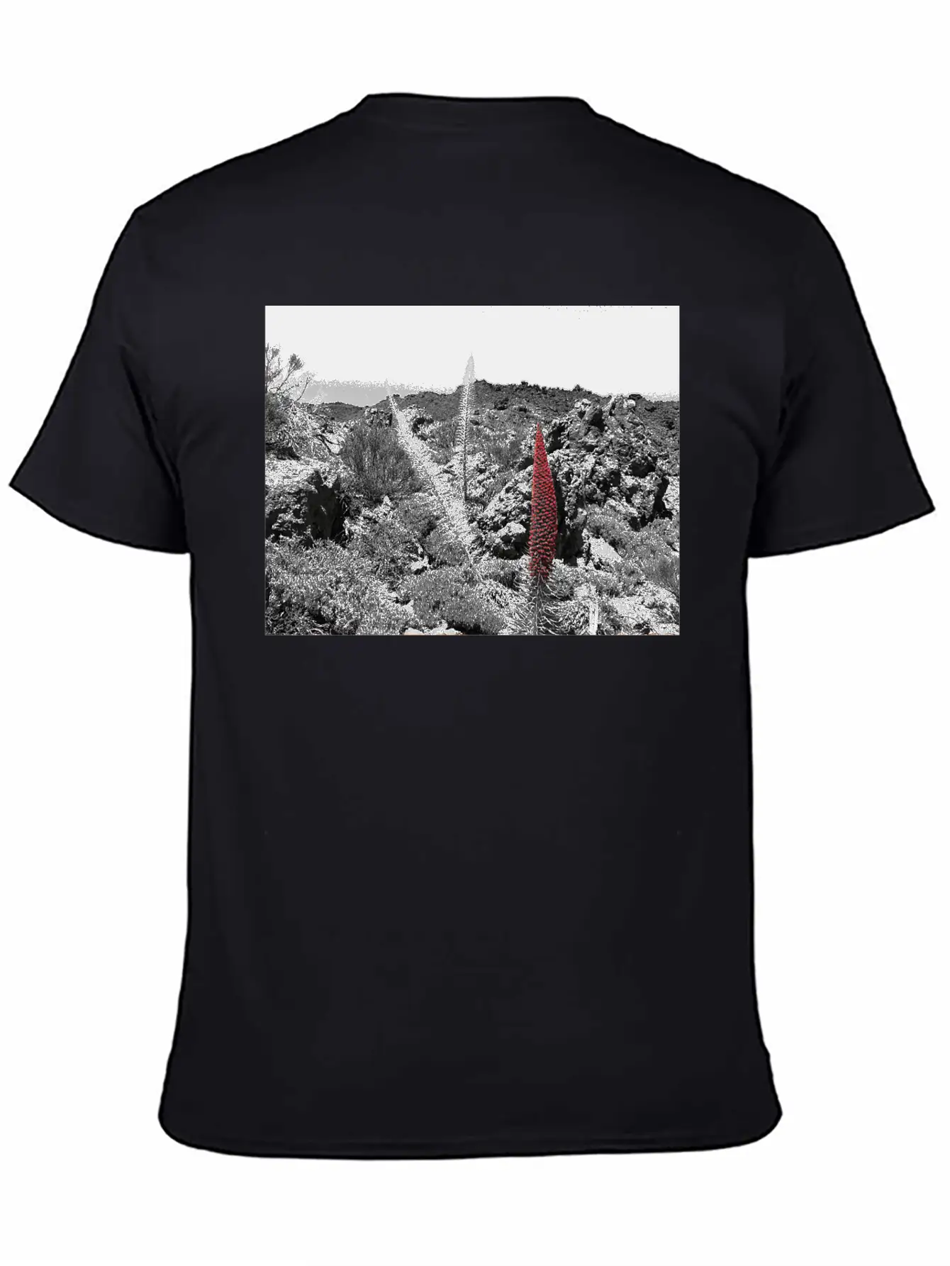 Tajinaste Unisex Casual T-Shirt – Clean Design For Daily Comfort