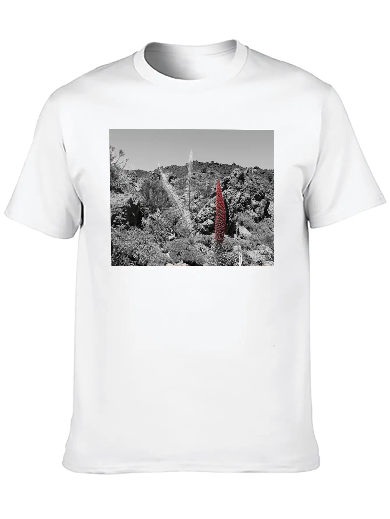 Tajinaste Unisex Casual T-Shirt – Clean Design For Daily Comfort