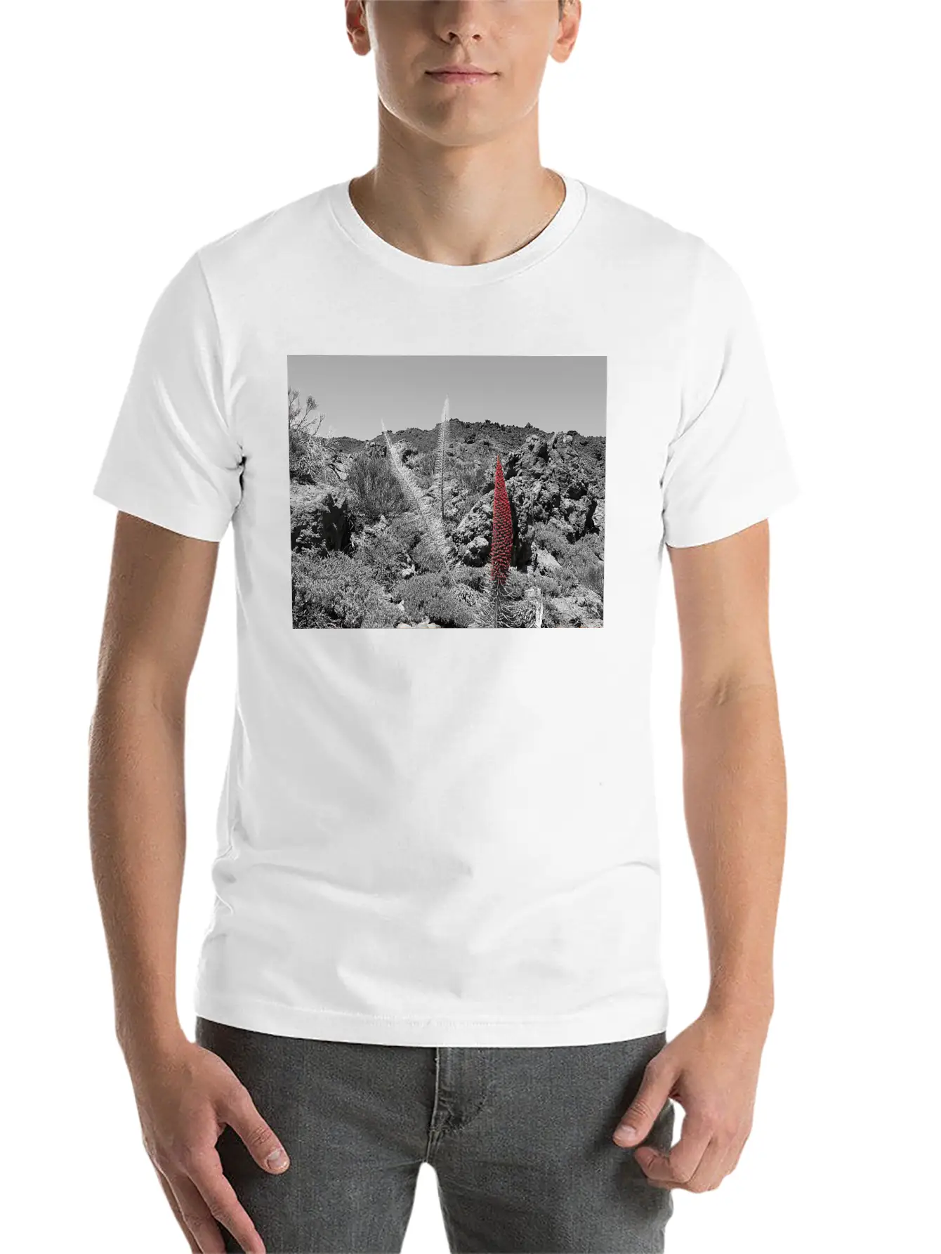 Tajinaste Unisex Casual T-Shirt – Clean Design For Daily Comfort
