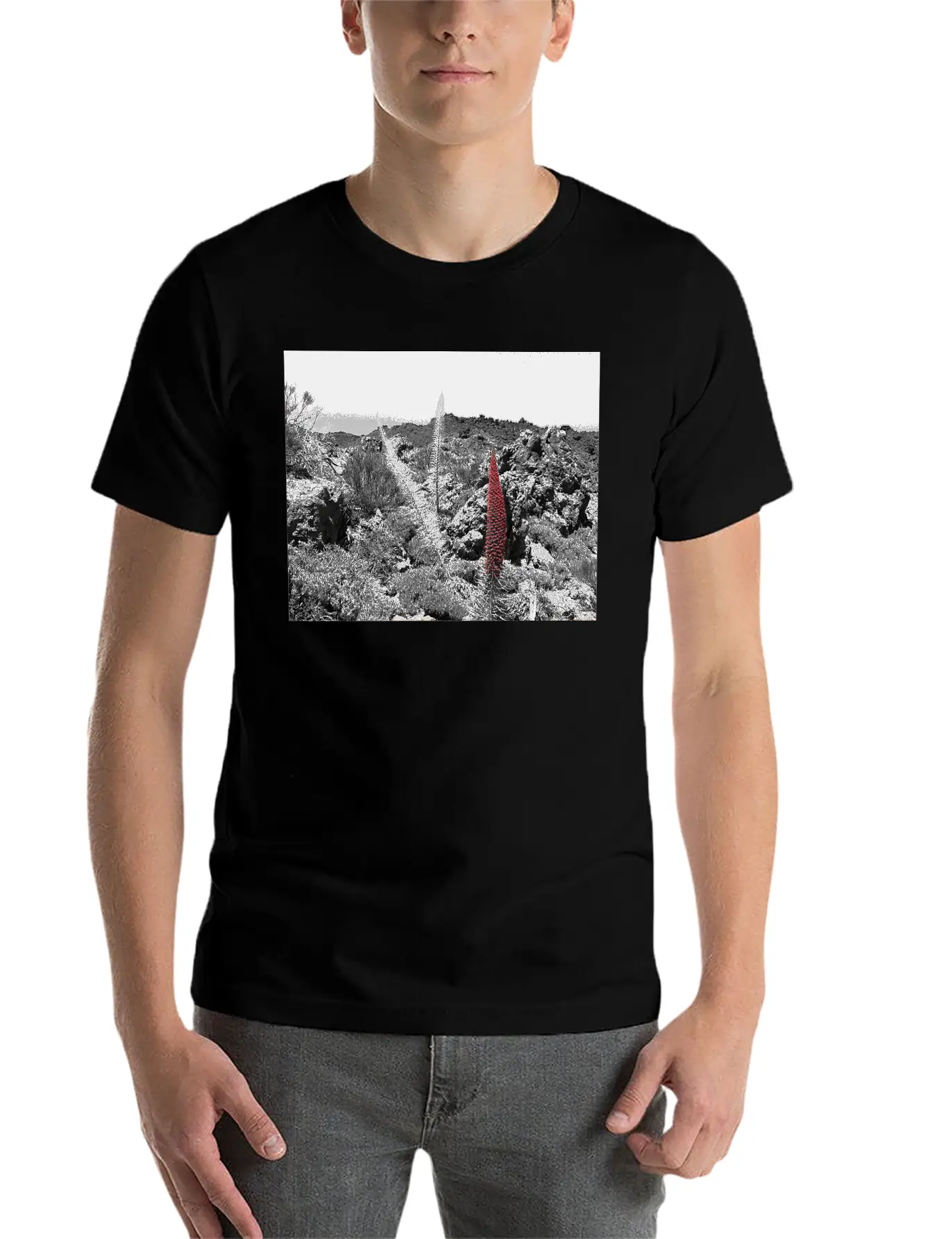 Tajinaste Unisex Casual T-Shirt – Clean Design For Daily Comfort