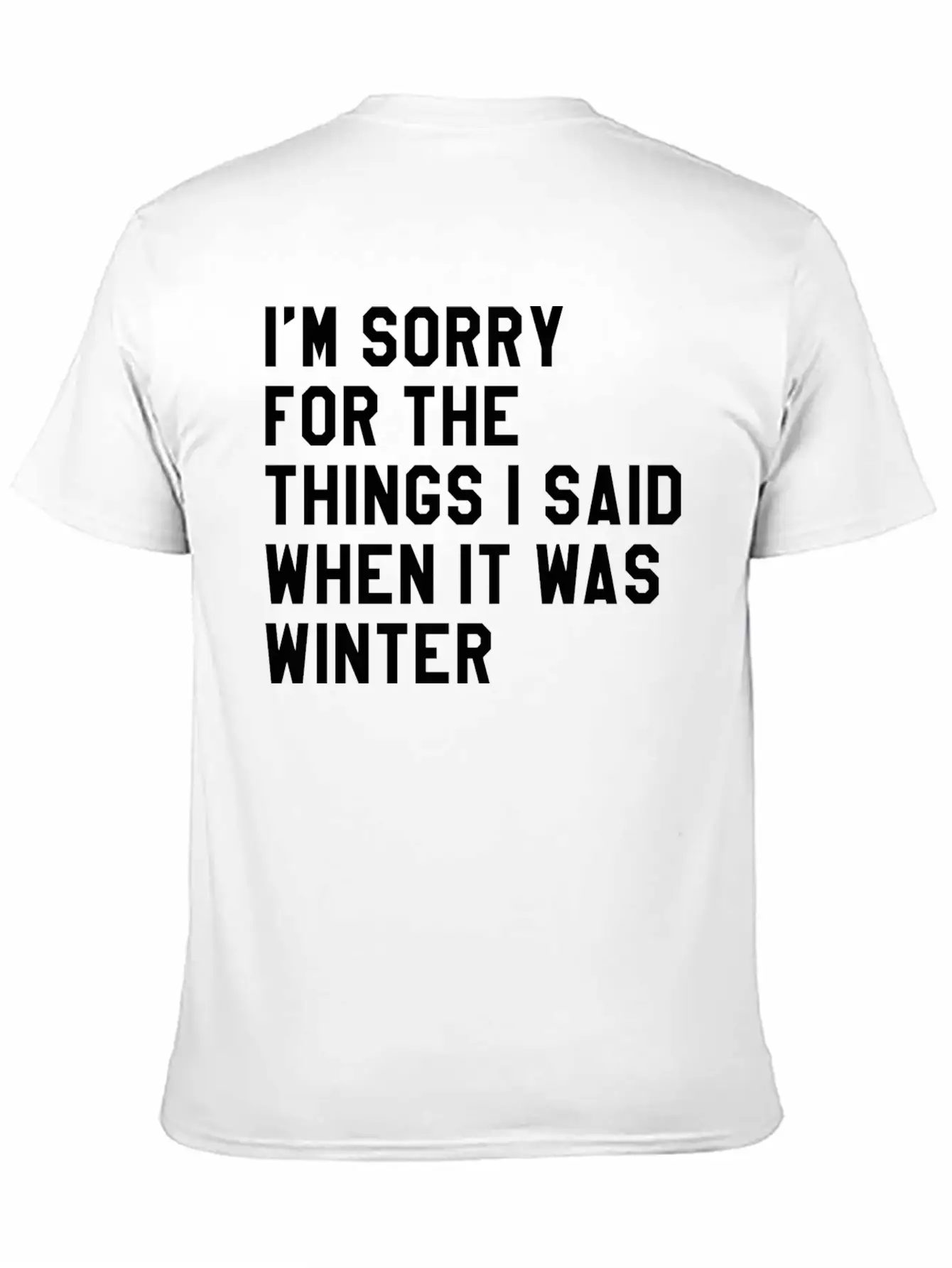 When It Was Winter Lightweight Cotton T-Shirt – Daily Comfort Graphic Shirt