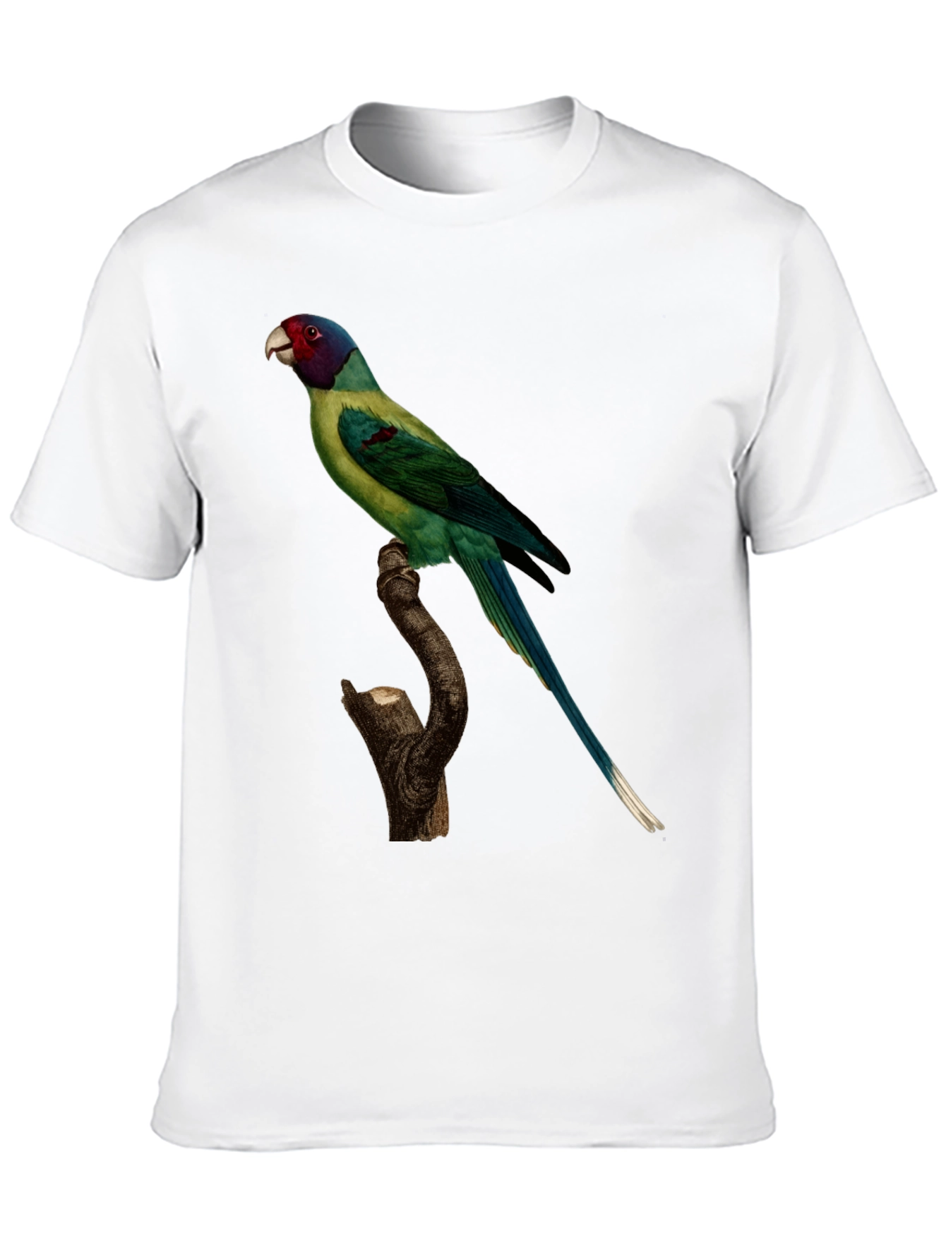 Parrot Print Black T-Shirt - Unique Bird Graphic Tee