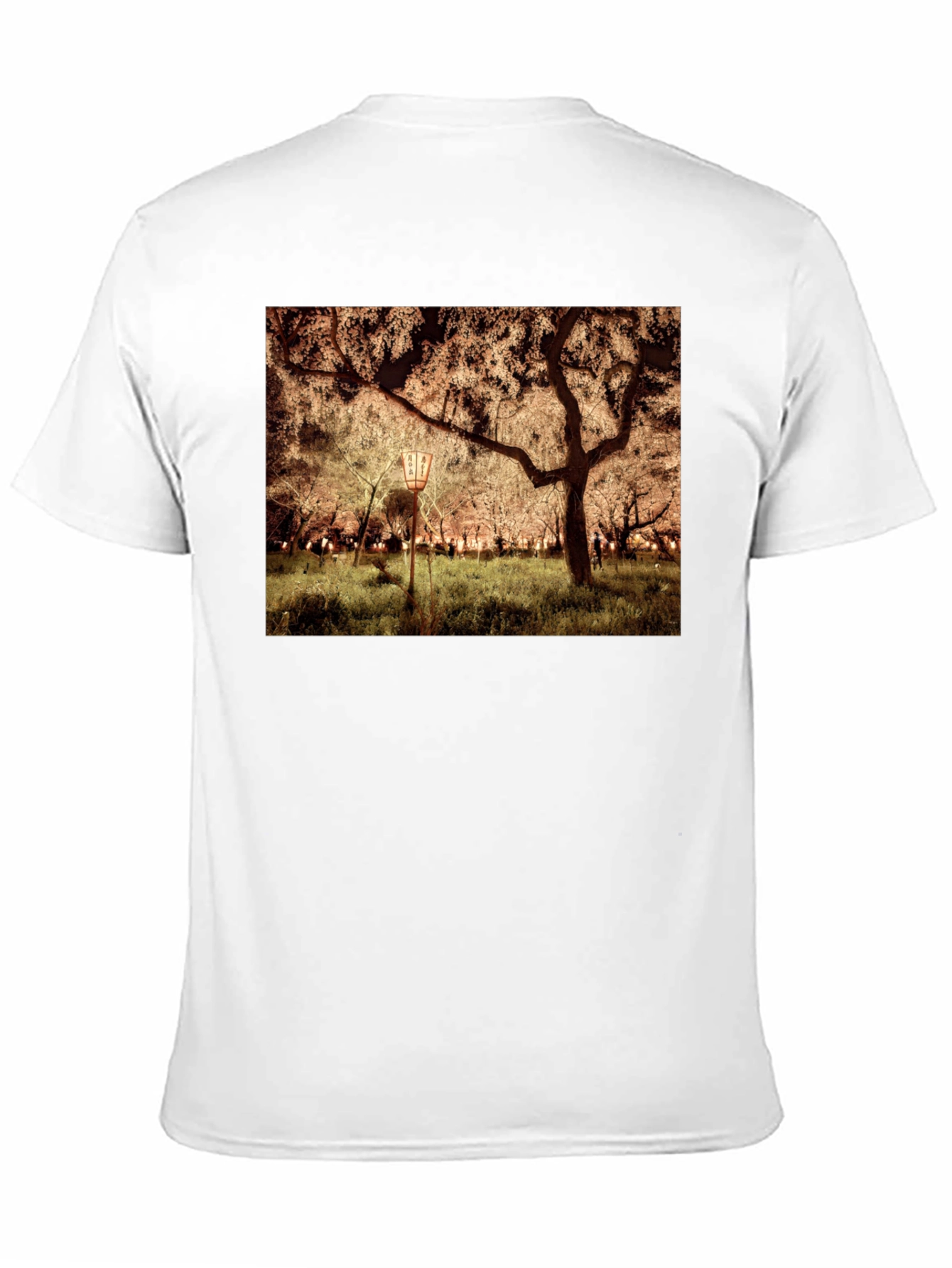 Night Sakura T-Shirt: Illuminated Cherry Blossom Tee