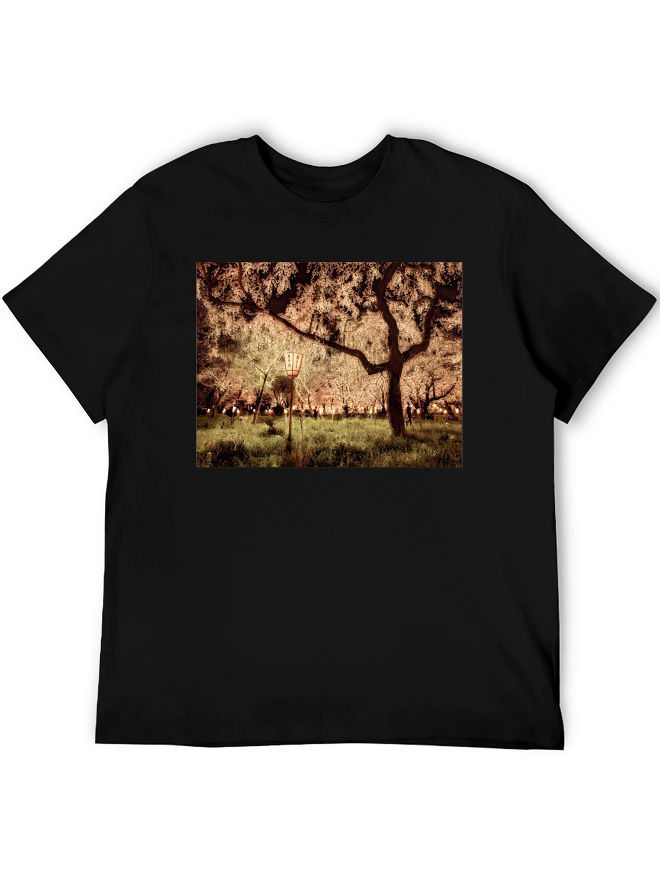Night Sakura T-Shirt: Illuminated Cherry Blossom Tee