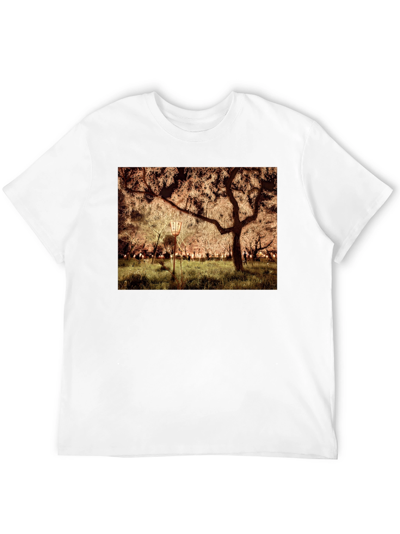 Night Sakura T-Shirt: Illuminated Cherry Blossom Tee
