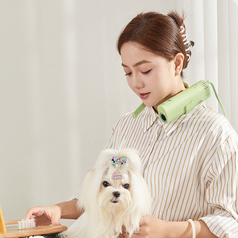 Pet hair dryer for pet care: high power, quiet, energy-saving, dog grooming, fast drying. Only suitable for 220V countries.