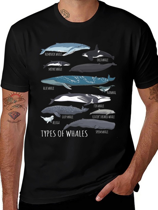 Types of Whales Graphic T-Shirt