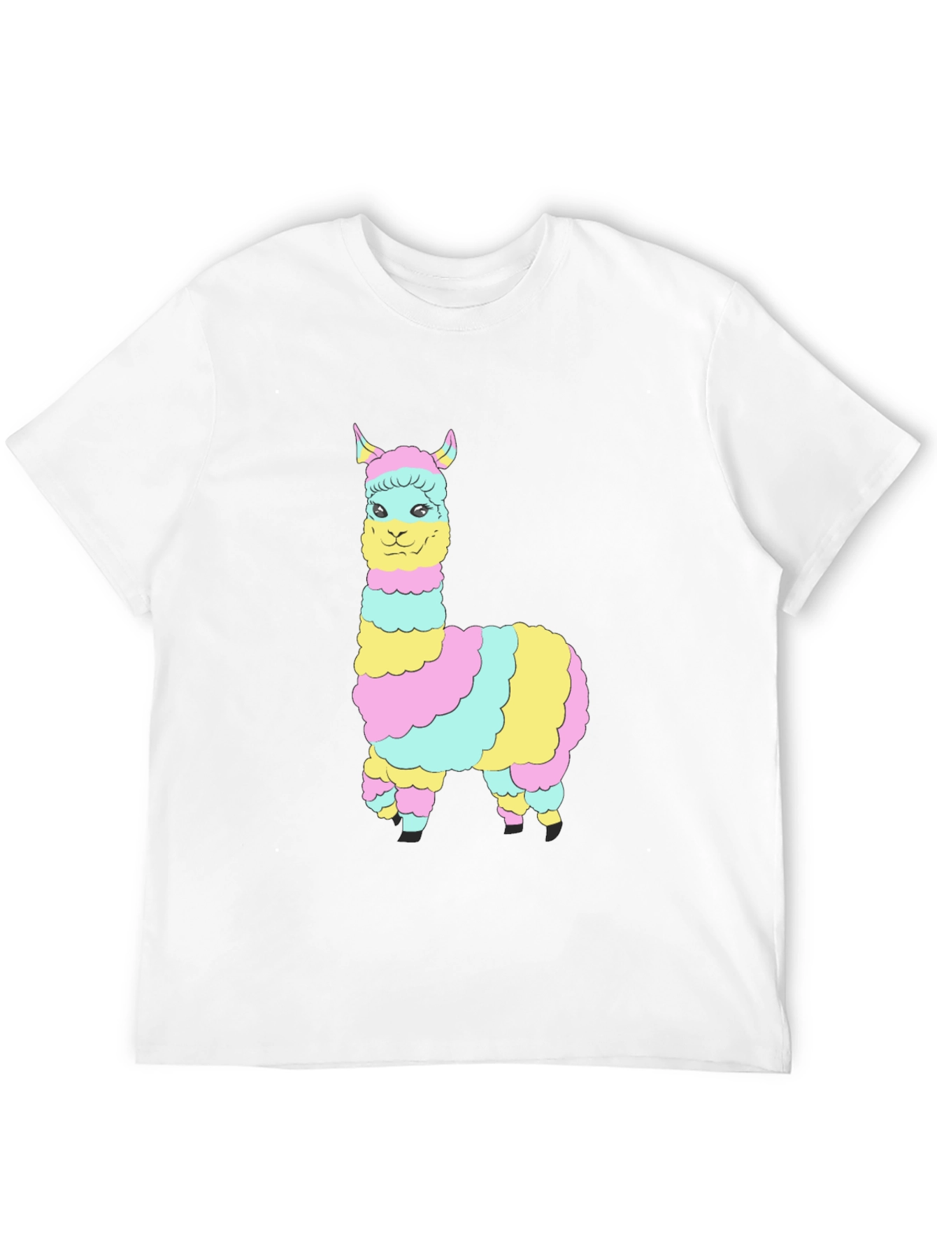 Rainbow Llama Graphic Tee - Mens Black T-Shirt