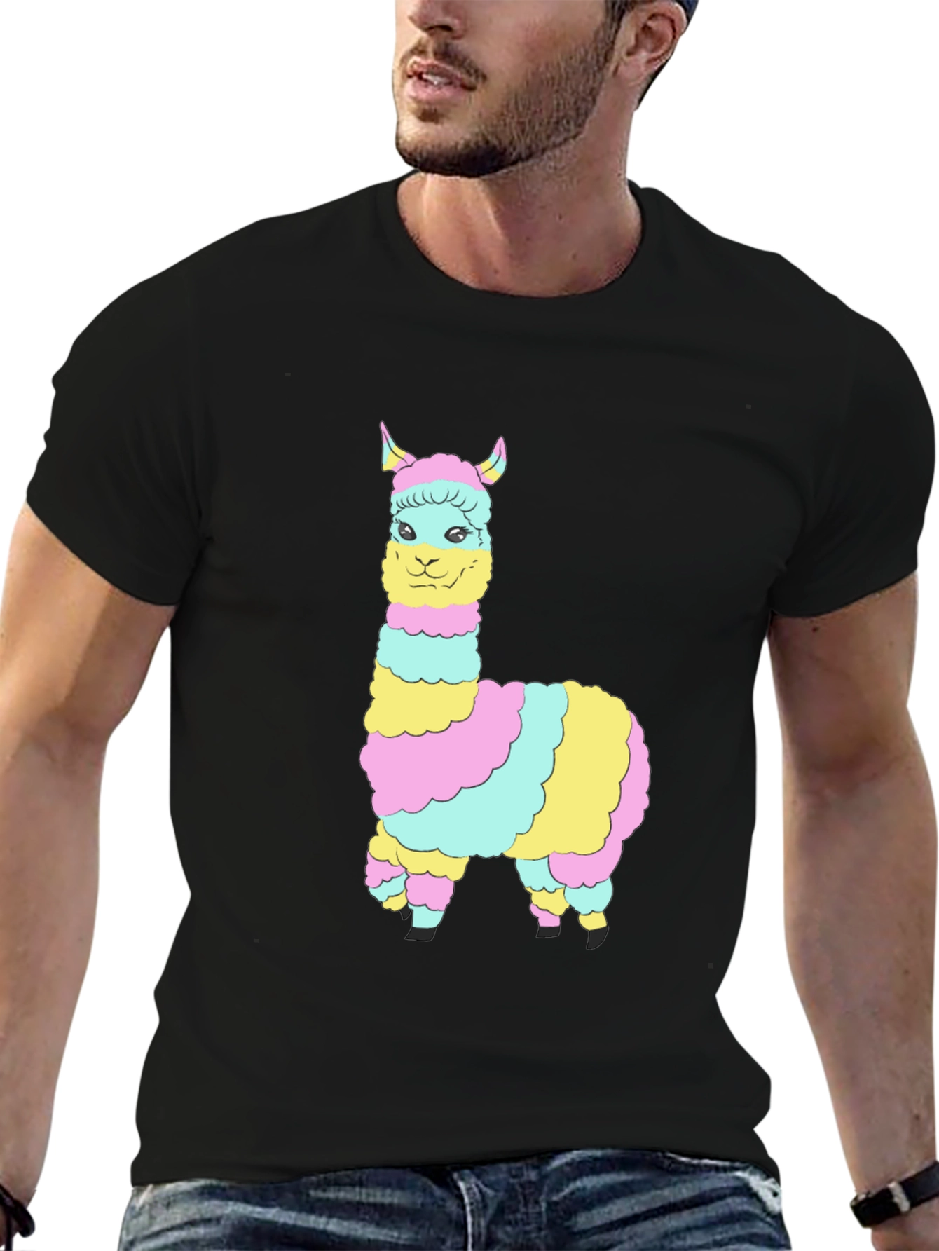 Rainbow Llama Graphic Tee - Mens Black T-Shirt