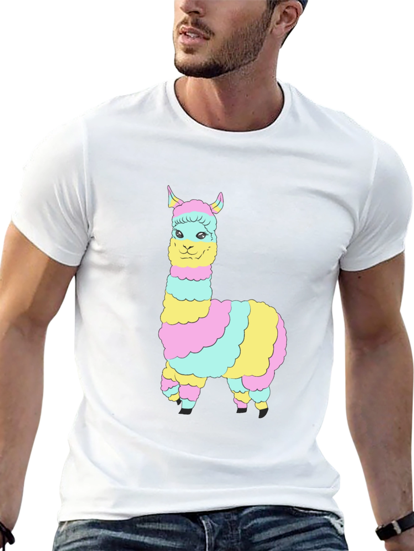 Rainbow Llama Graphic Tee - Mens Black T-Shirt
