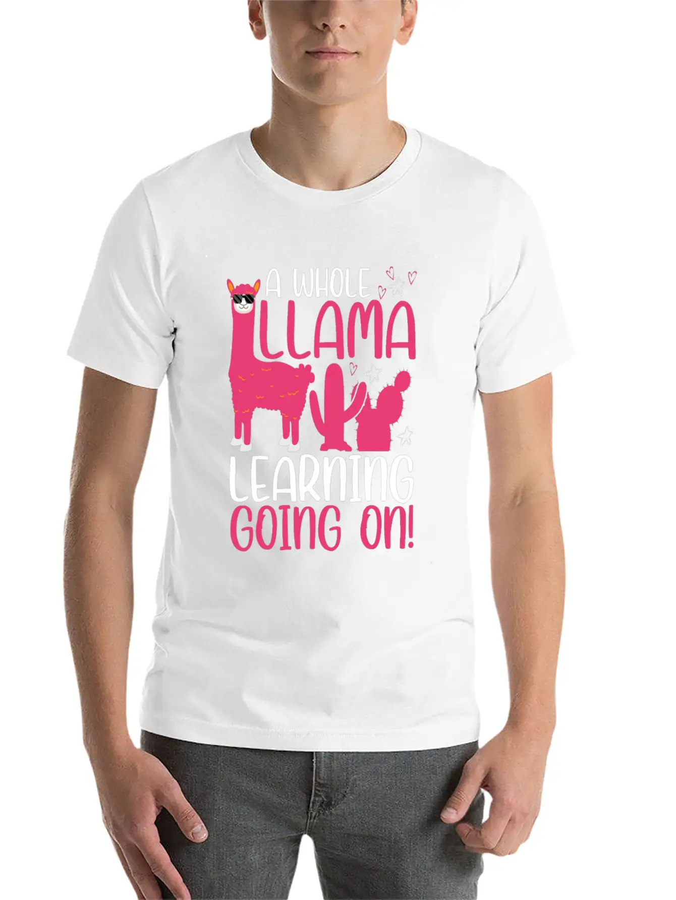A Whole Llama Learning Going On Kindergarten Teach Basic Graphic T-Shirt – Daily Comfort In Soft Cotton