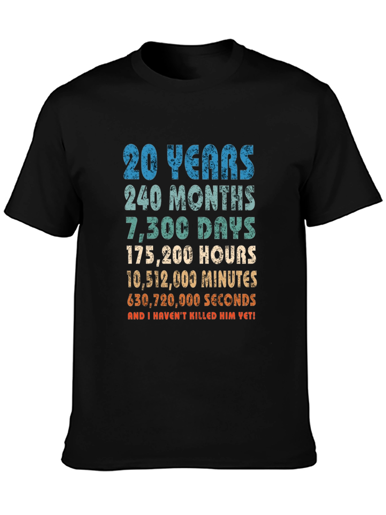 20th Anniversary T-Shirt - Funny Husband Gift