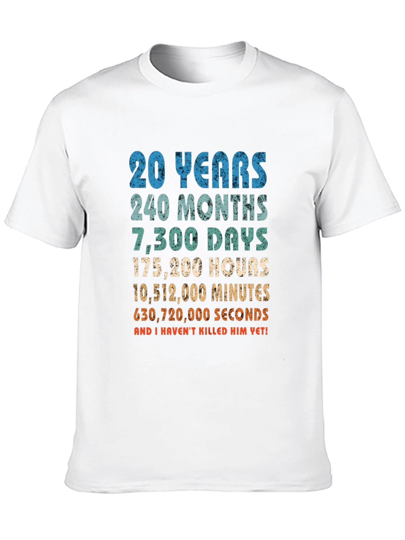 20th Anniversary T-Shirt - Funny Husband Gift