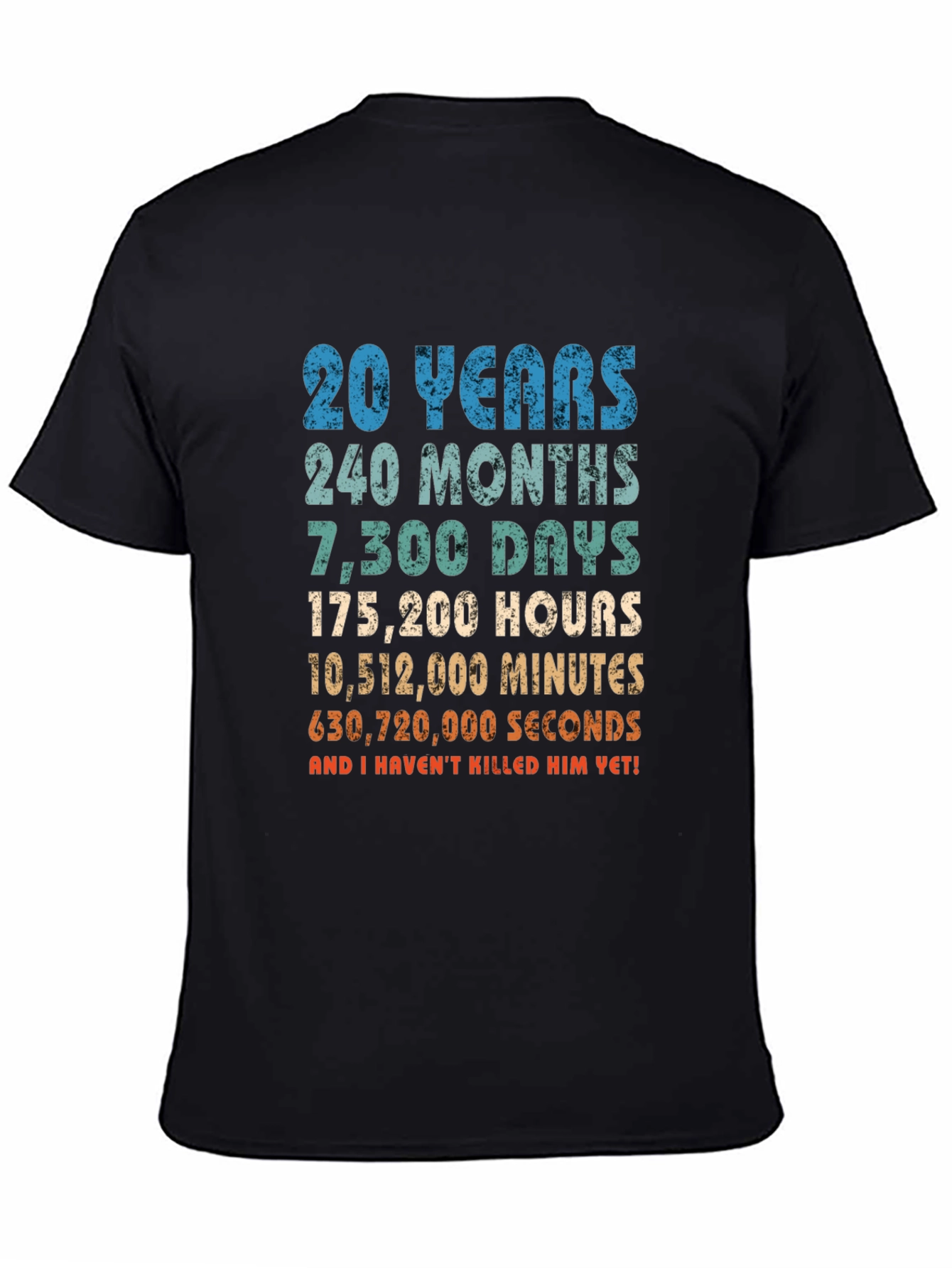 20th Anniversary T-Shirt - Funny Husband Gift
