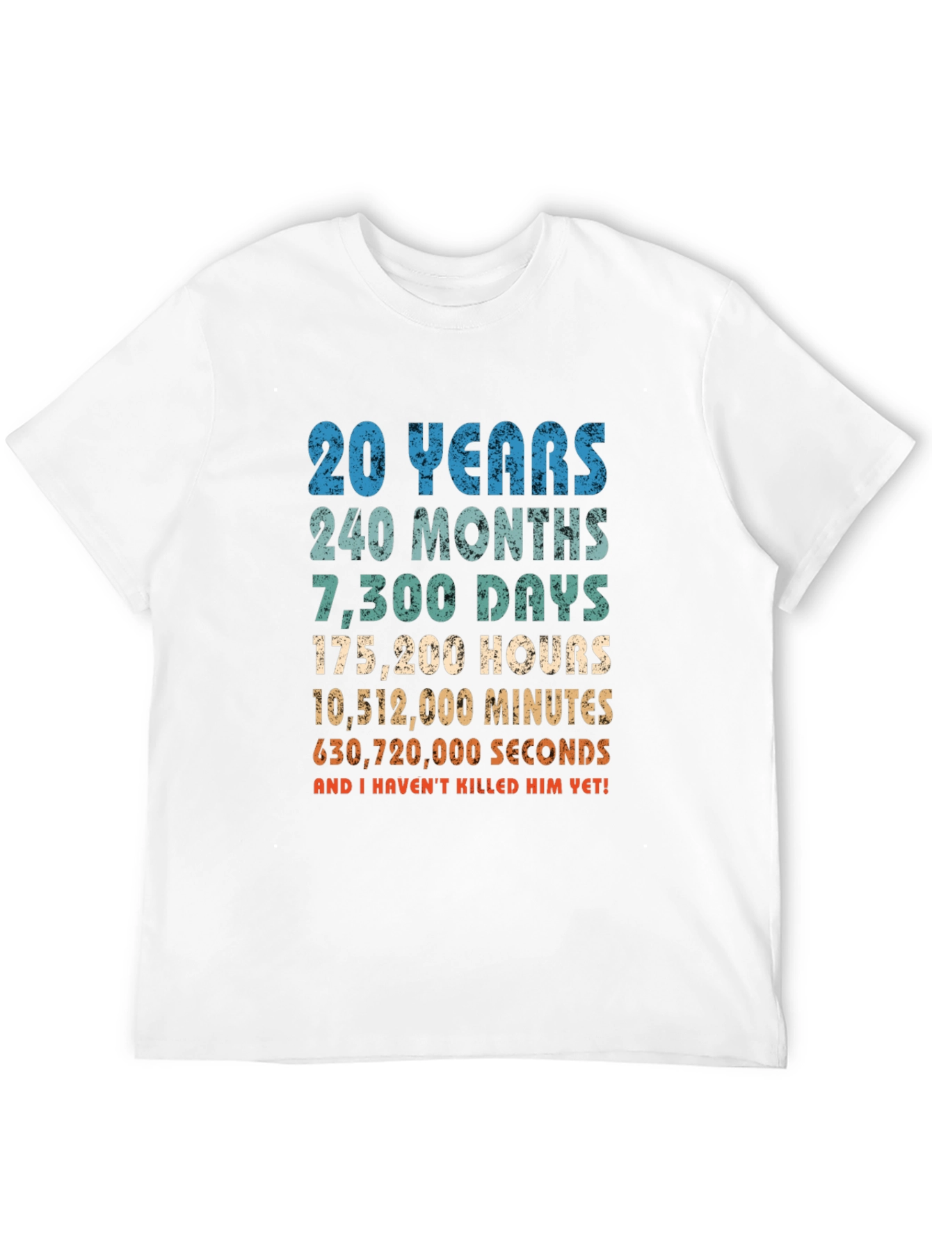 20th Anniversary T-Shirt - Funny Husband Gift