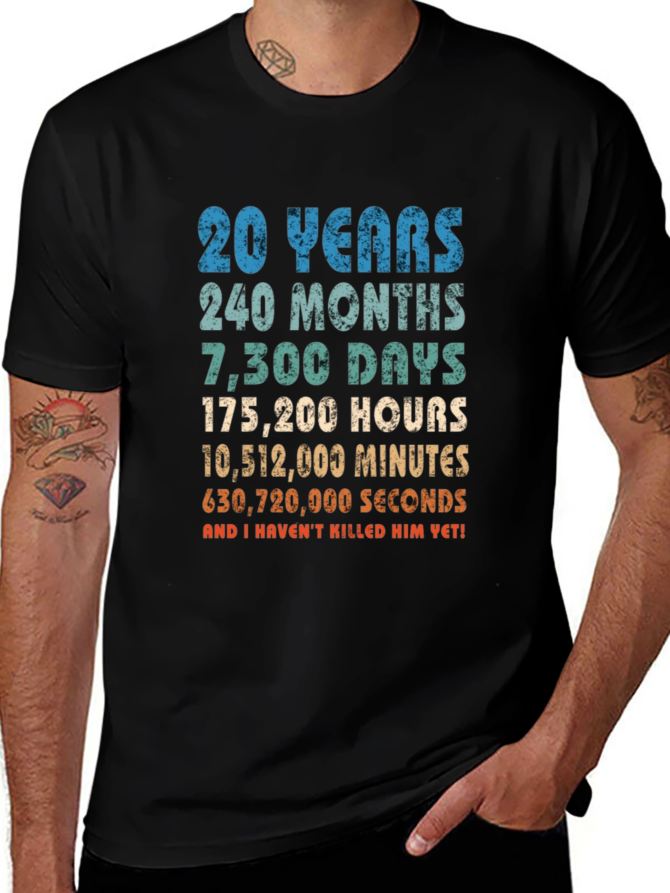 20th Anniversary T-Shirt - Funny Husband Gift