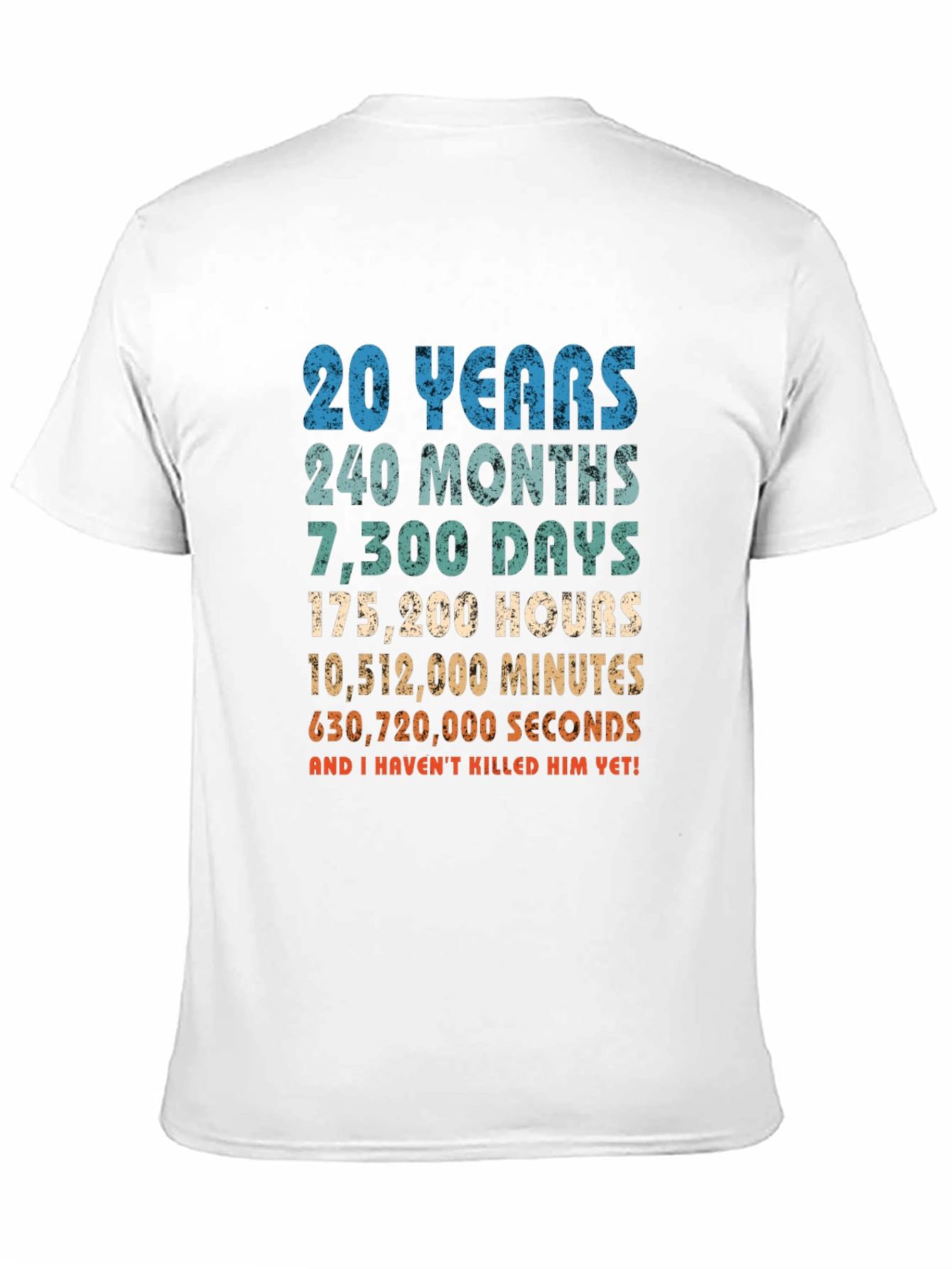 20th Anniversary T-Shirt - Funny Husband Gift
