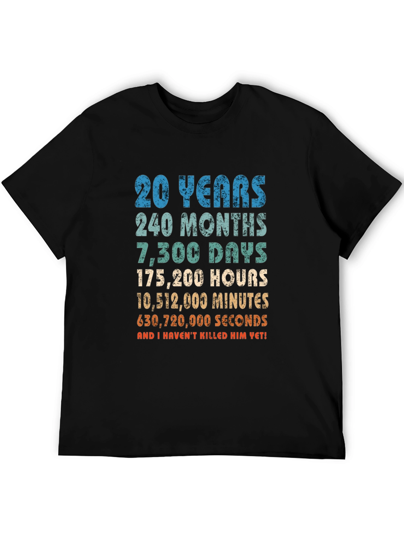 20th Anniversary T-Shirt - Funny Husband Gift