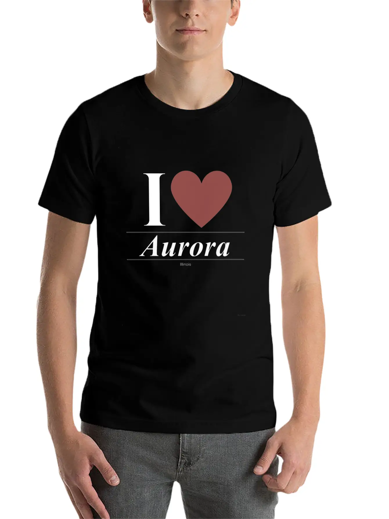 Aurora Illinois IL Illinoisan Unisex Casual T-Shirt ��� Clean Design For Daily Comfort