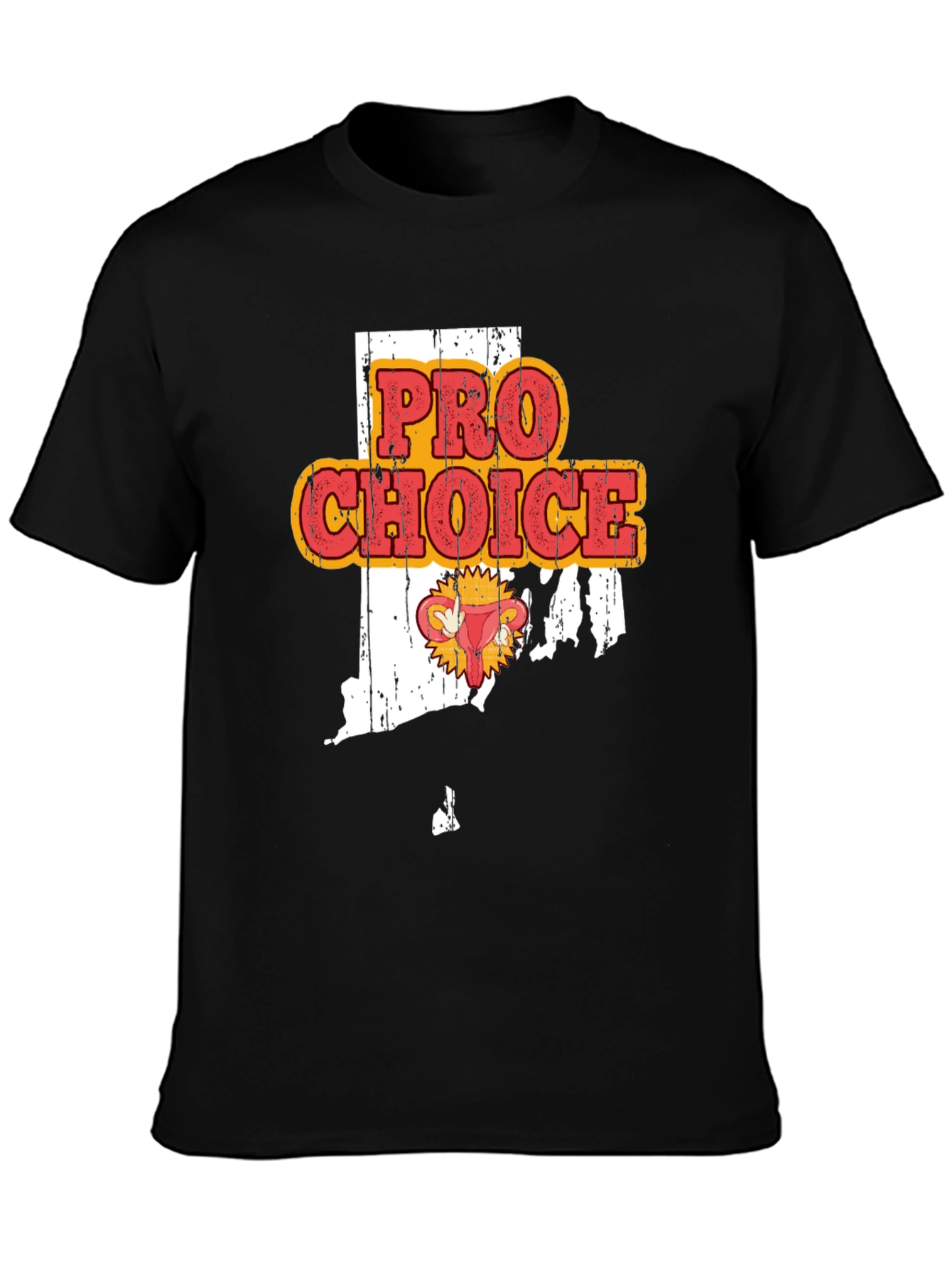 Pro-Choice Rhode Island T-Shirt