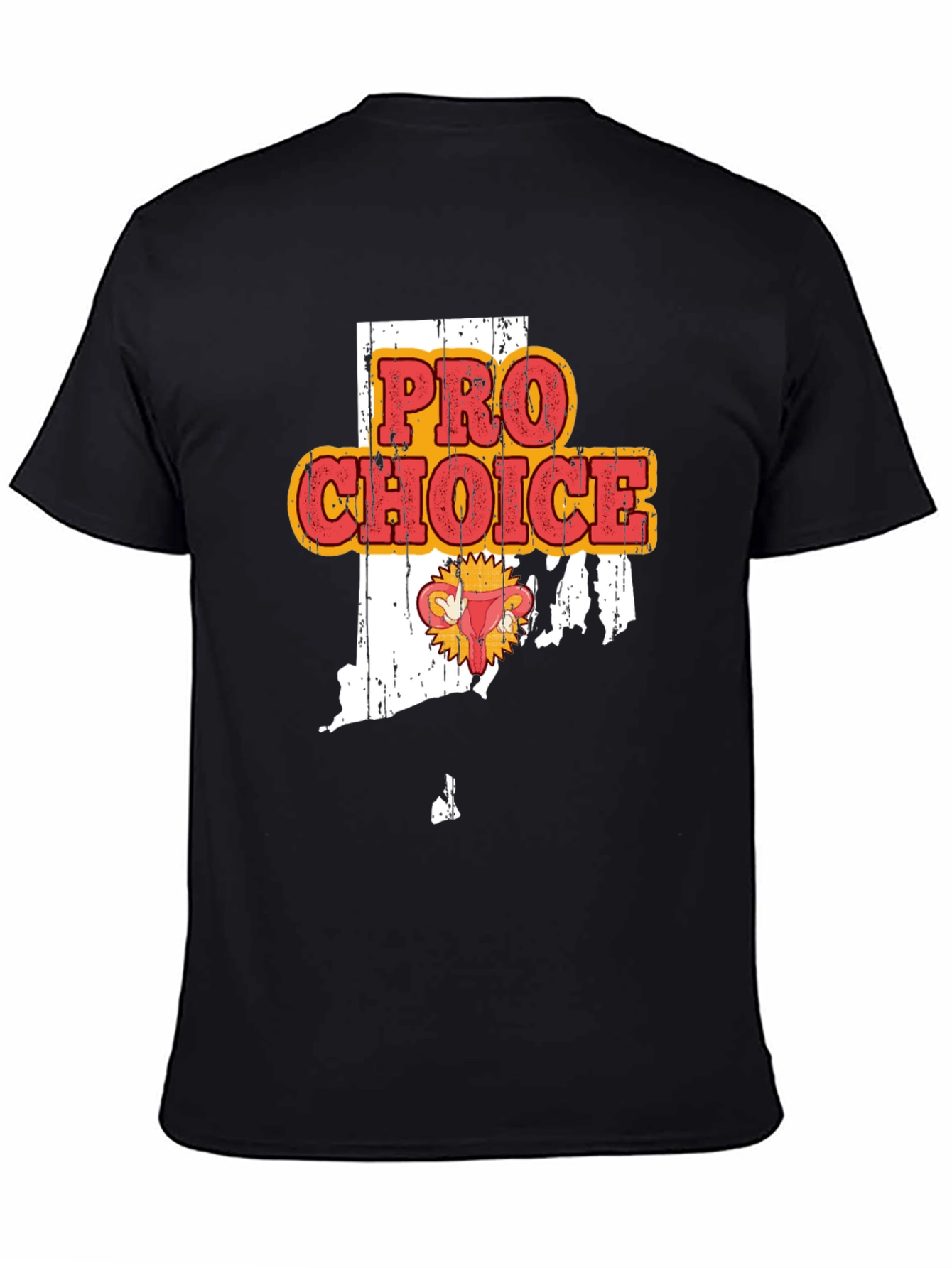 Pro-Choice Rhode Island T-Shirt