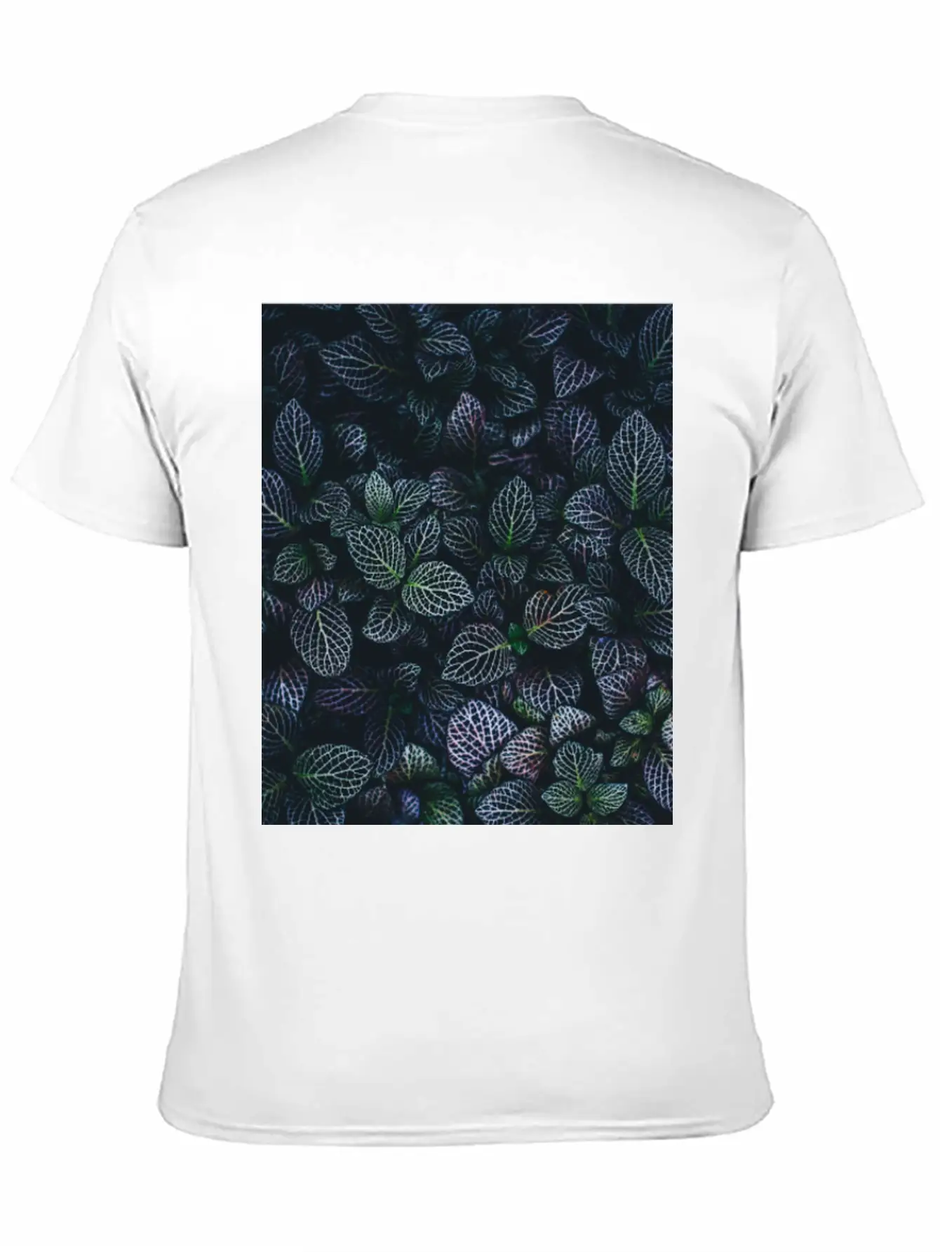 Nature Stylish Everyday T-Shirt – Unisex Basic Cotton Tee