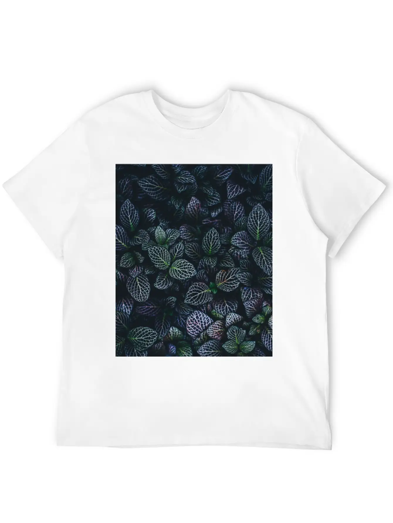 Nature Stylish Everyday T-Shirt – Unisex Basic Cotton Tee
