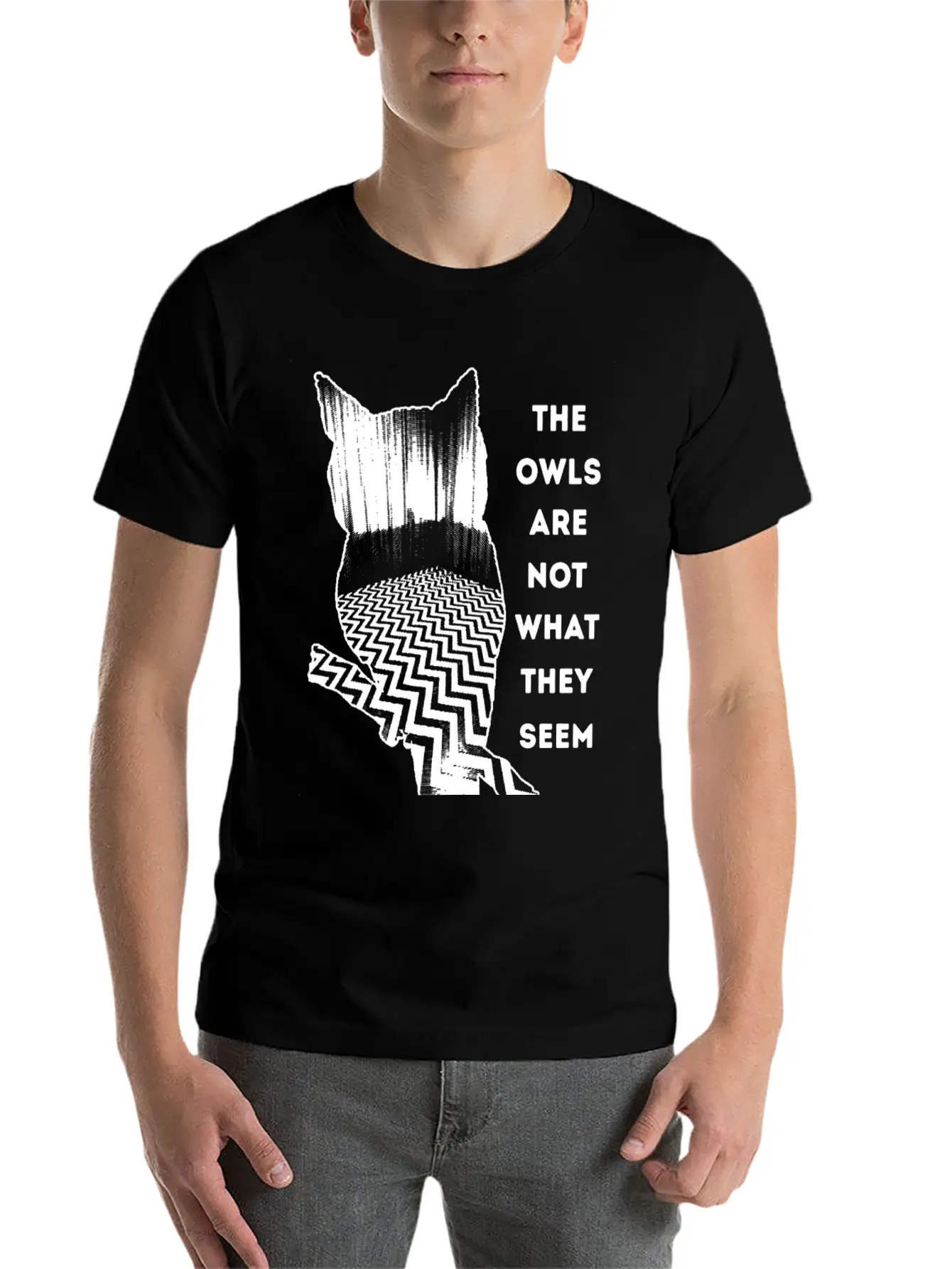 Owl - Owl - The Owls Are Not What They Seem Lightweight Cotton T-Shirt – Daily Comfort Graphic Shirt
