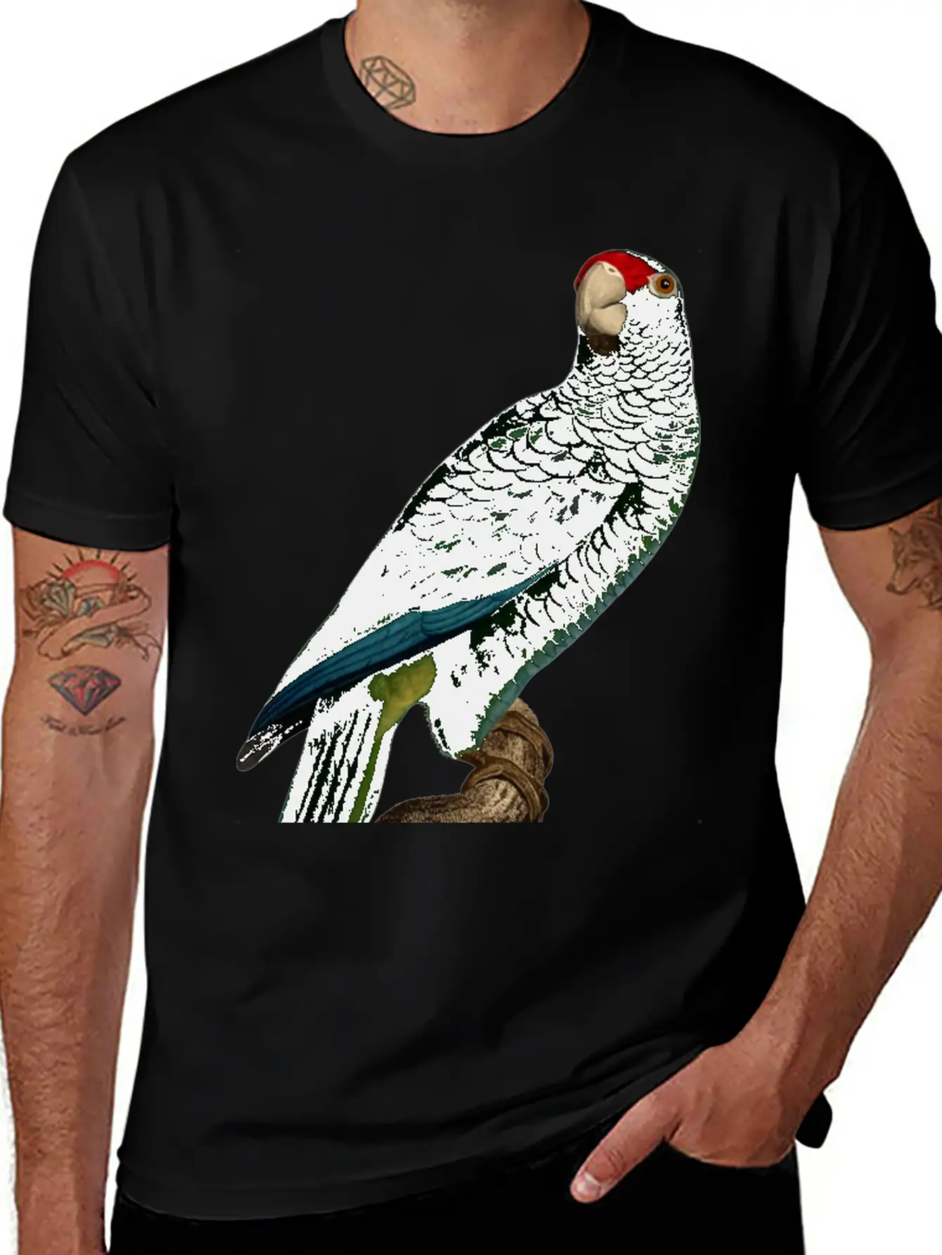 Parrot 46 Unisex Casual T-Shirt – Clean Design For Daily Comfort