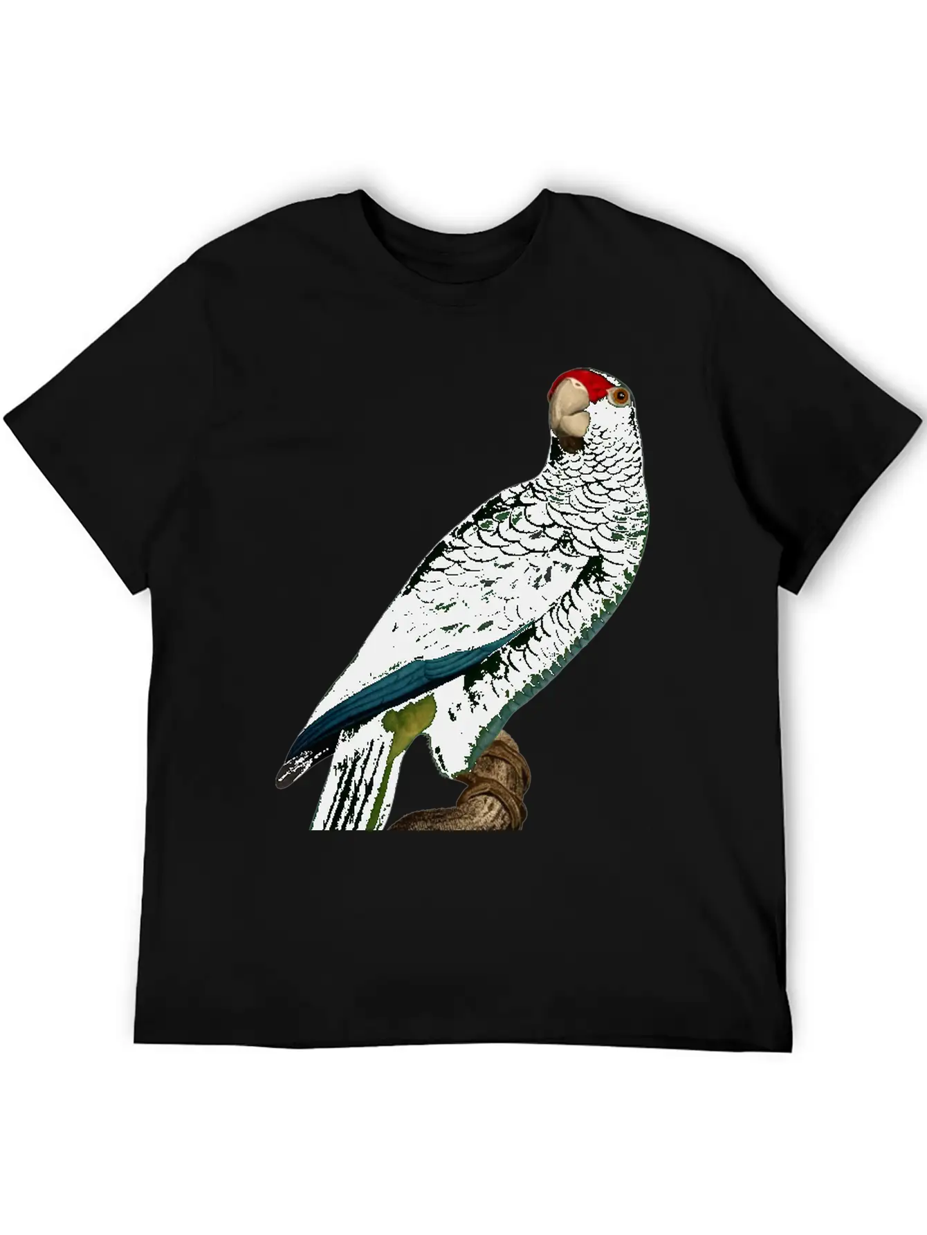 Parrot 46 Unisex Casual T-Shirt – Clean Design For Daily Comfort