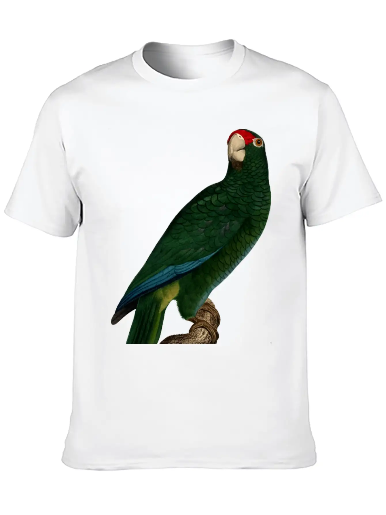 Parrot 46 Unisex Casual T-Shirt – Clean Design For Daily Comfort