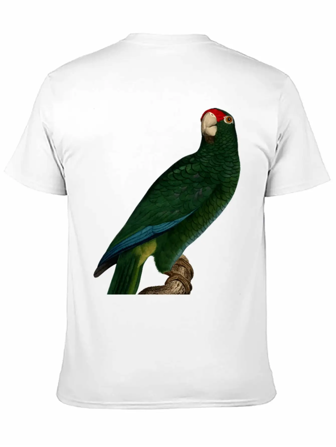 Parrot 46 Unisex Casual T-Shirt – Clean Design For Daily Comfort