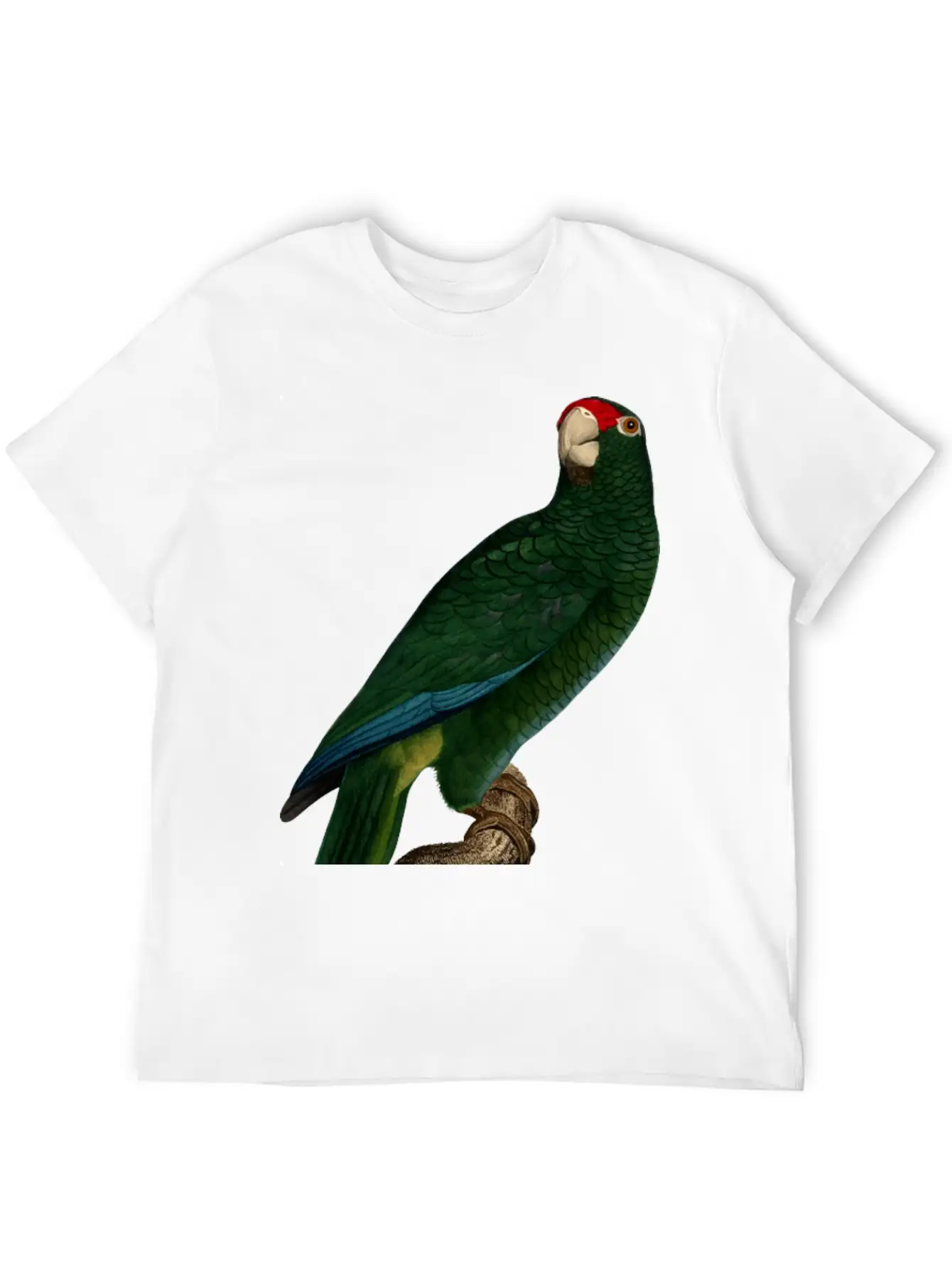 Parrot 46 Unisex Casual T-Shirt – Clean Design For Daily Comfort