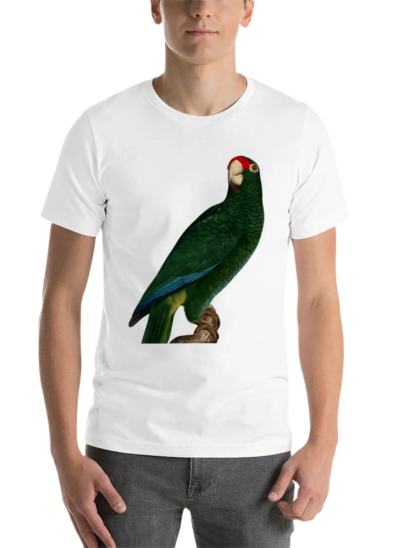 Parrot 46 Unisex Casual T-Shirt – Clean Design For Daily Comfort