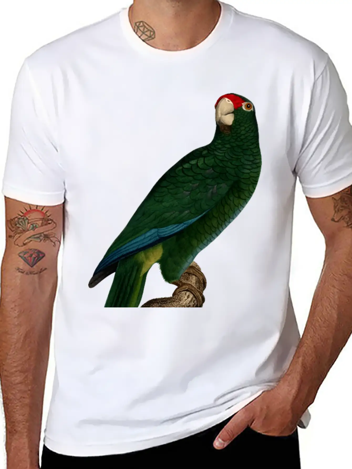 Parrot 46 Unisex Casual T-Shirt – Clean Design For Daily Comfort