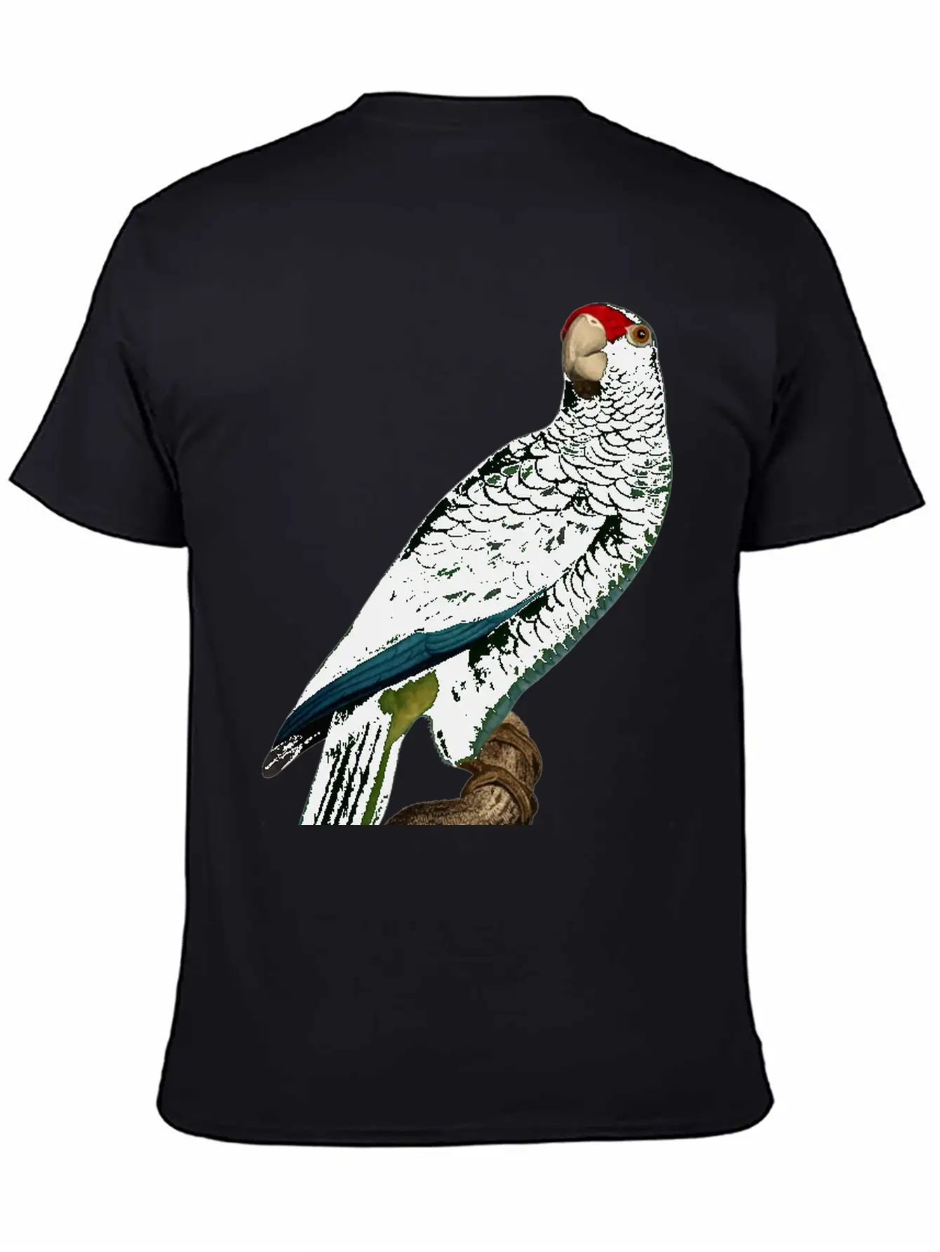 Parrot 46 Unisex Casual T-Shirt – Clean Design For Daily Comfort