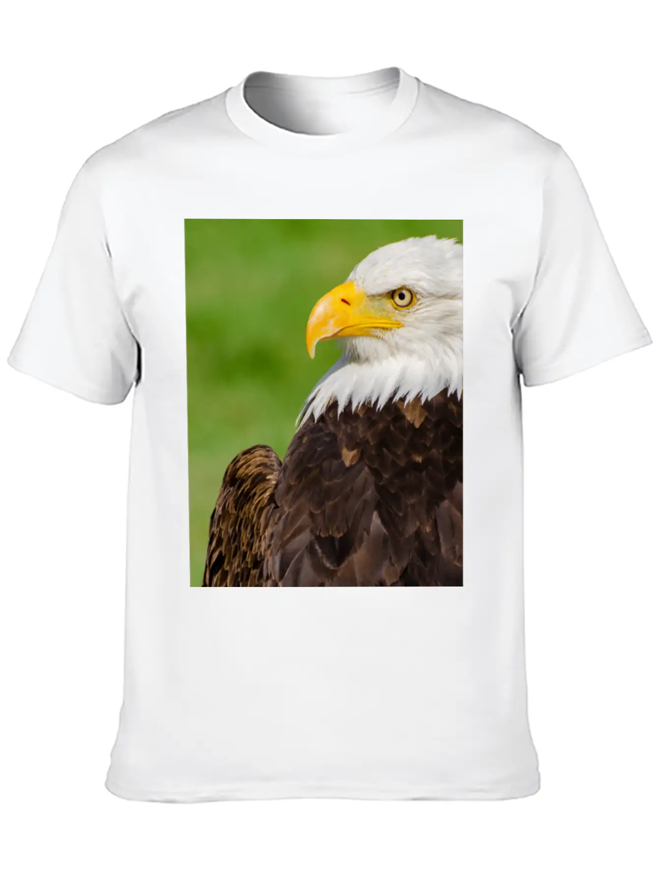 Profile Of A Bald Eagle Resting On A Sunny Day Lightweight Cotton T-Shirt – Daily Comfort Graphic Shirt